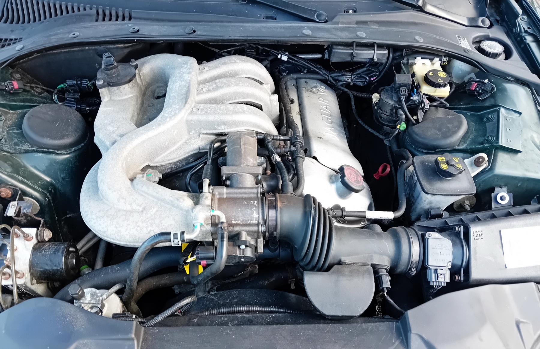 Illustration - Jaguar S-Type