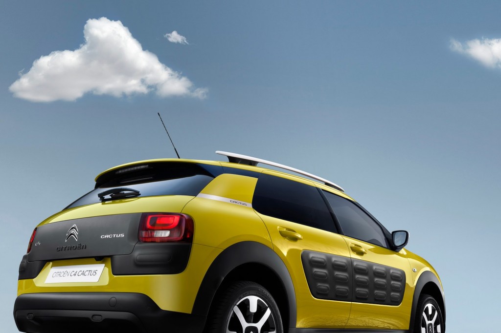 Citrone-Cactus-C4-15