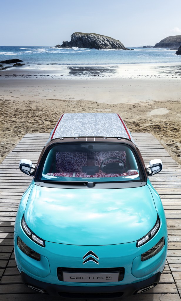 Citroen-Cactus-M-Concept-49
