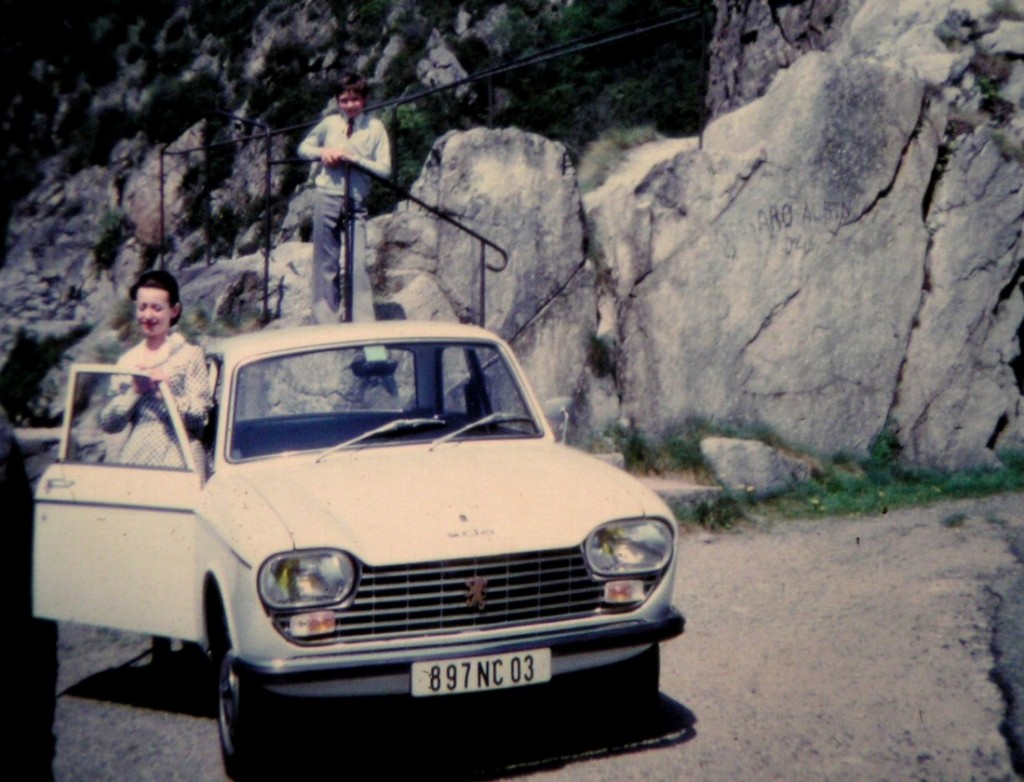 Peugeot 204