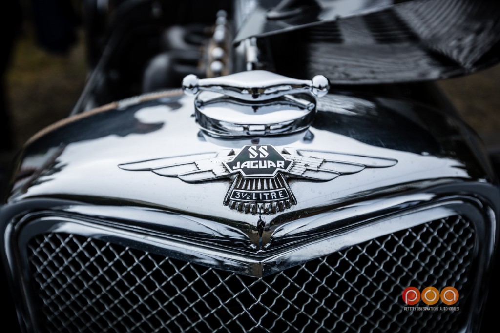 SS 100 Bouchon de calandre