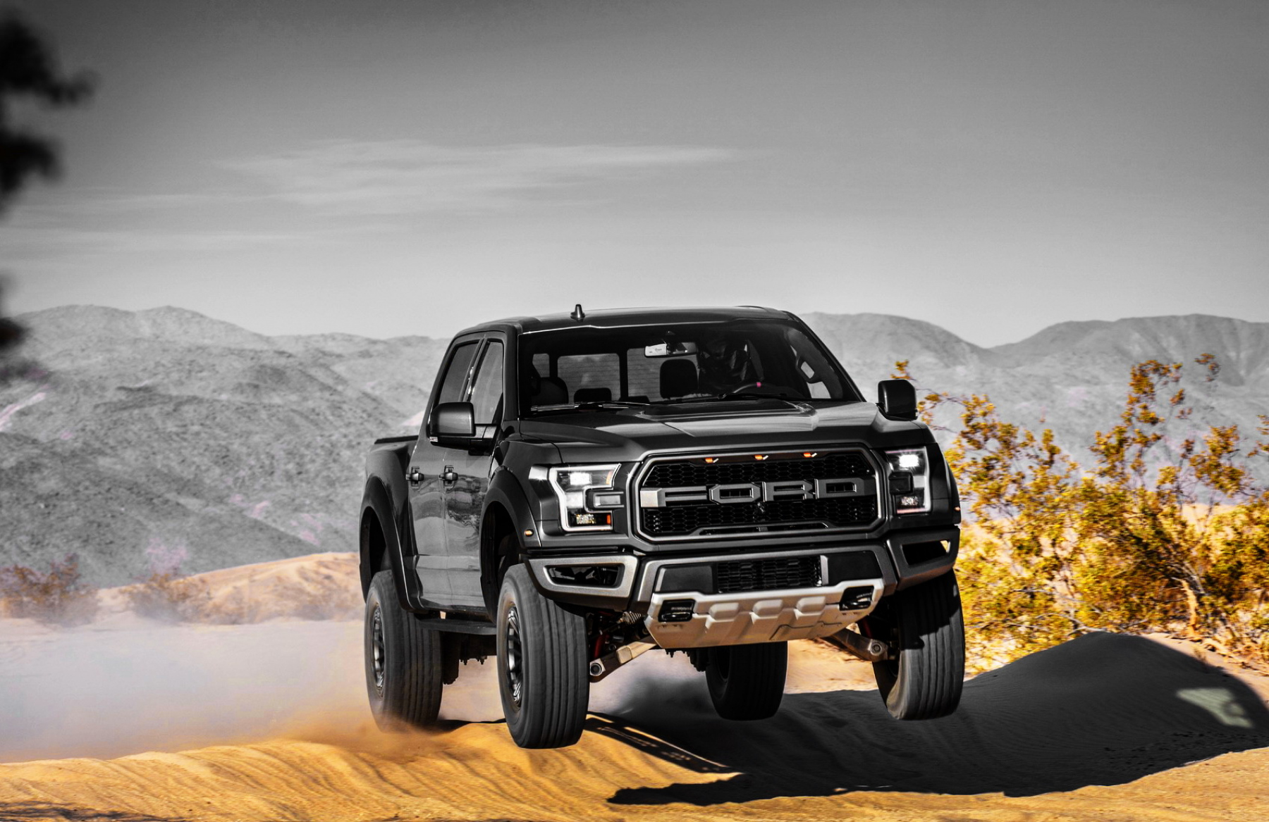 Ford F-150 Raptor : espèce menacée ou menaçante ?