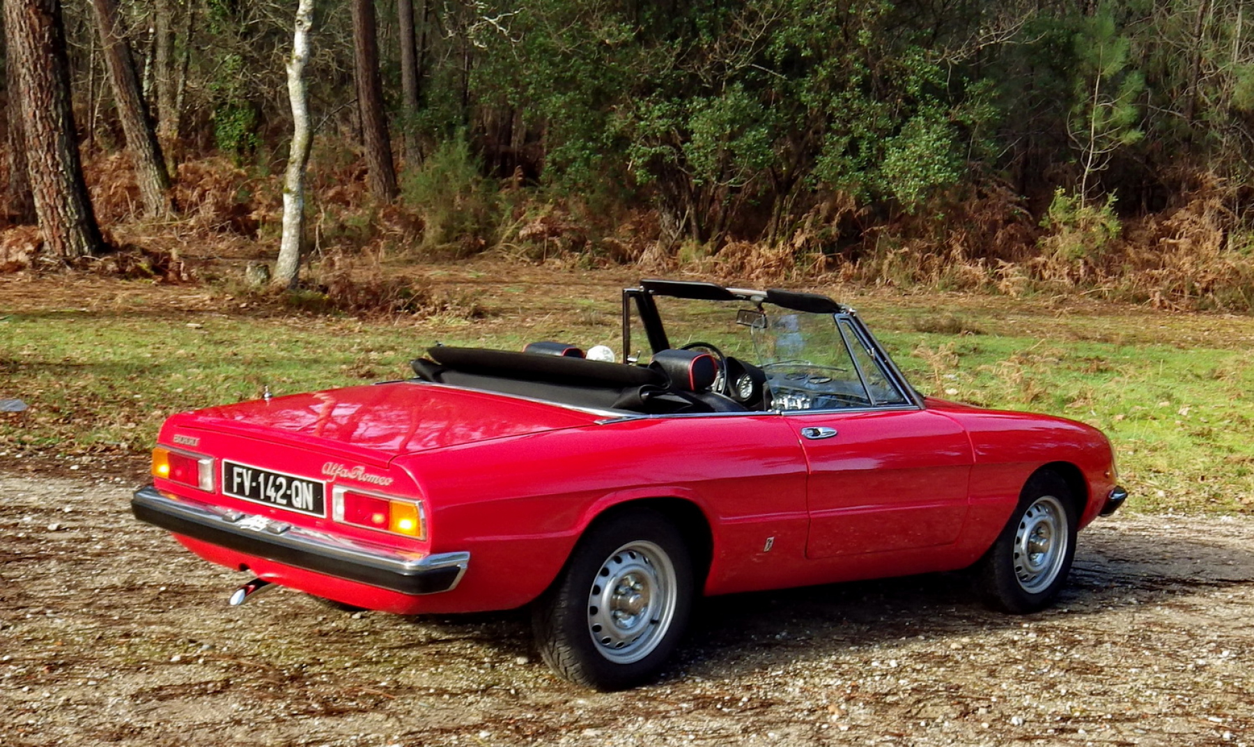 Illustration - Alfa Romeo Spider 2000 Véloce 1974 Arrière