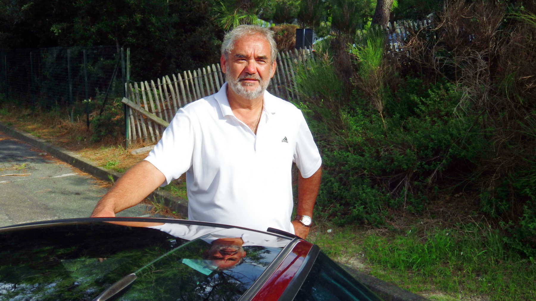 Illustration - Porsche 993 Targa Pascal