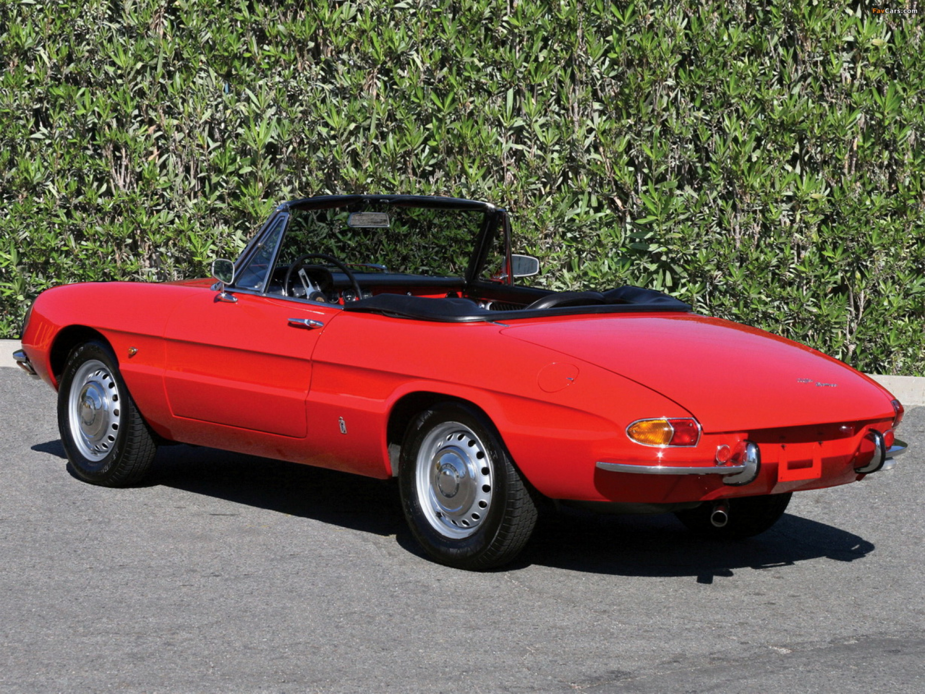 Illustration - Alfa Romeo Spider 2000 Véloce 1974 Duetto
