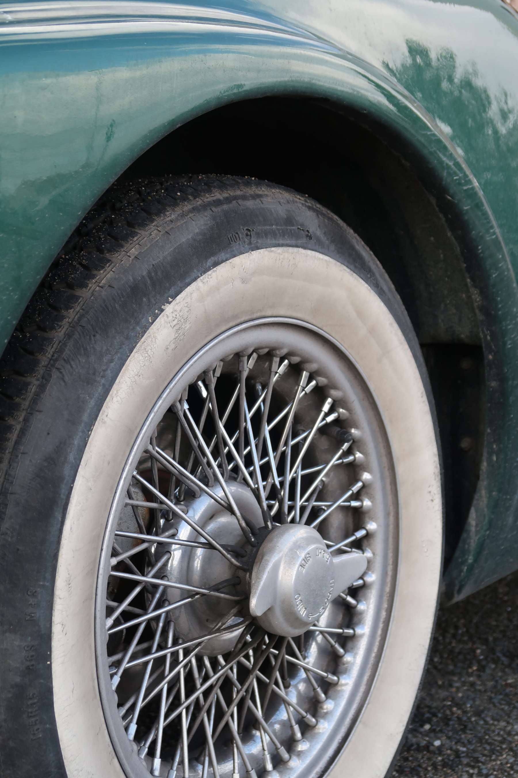 Illustration - Daimler V8 SP 250