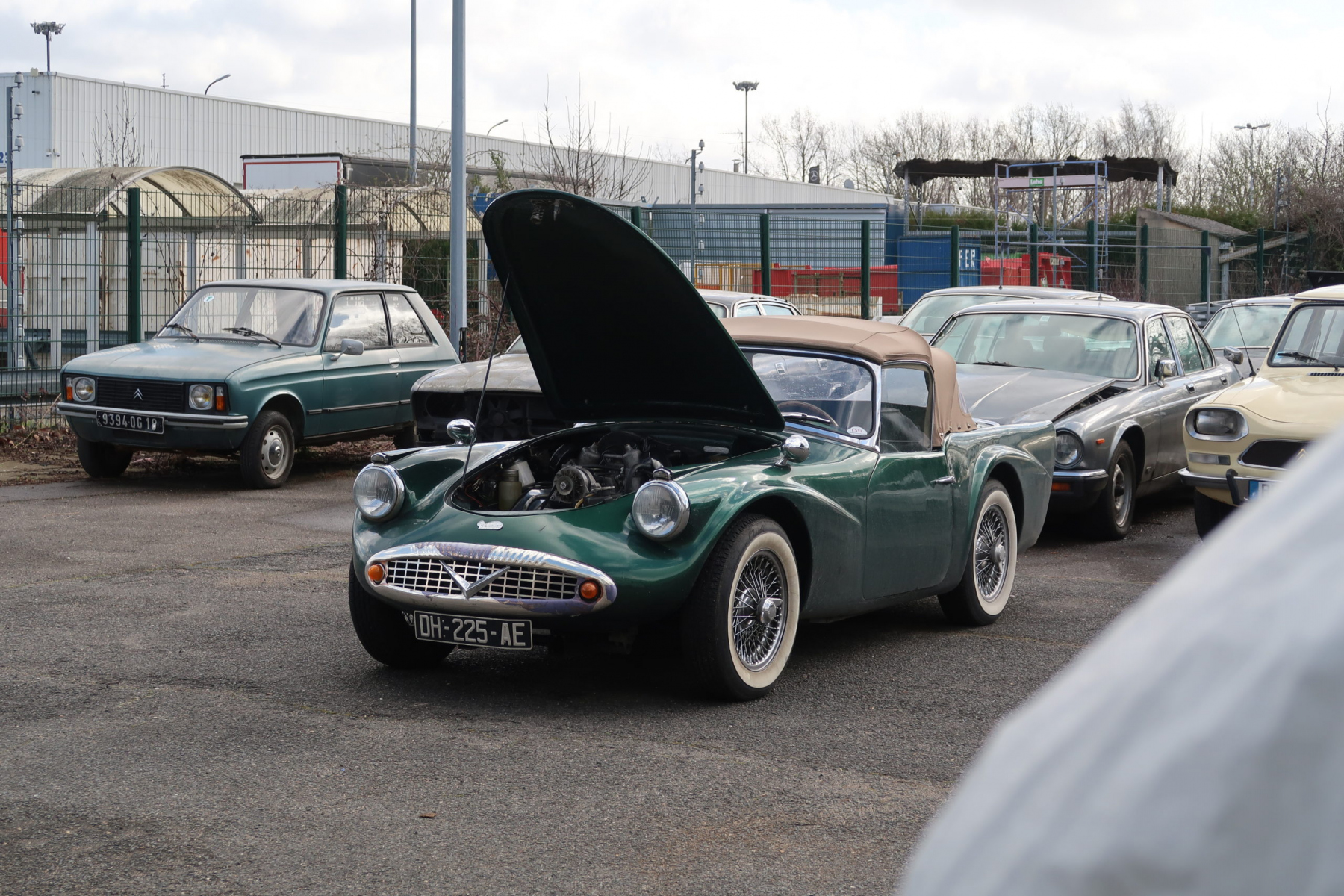 Illustration - Daimler V8 SP 250