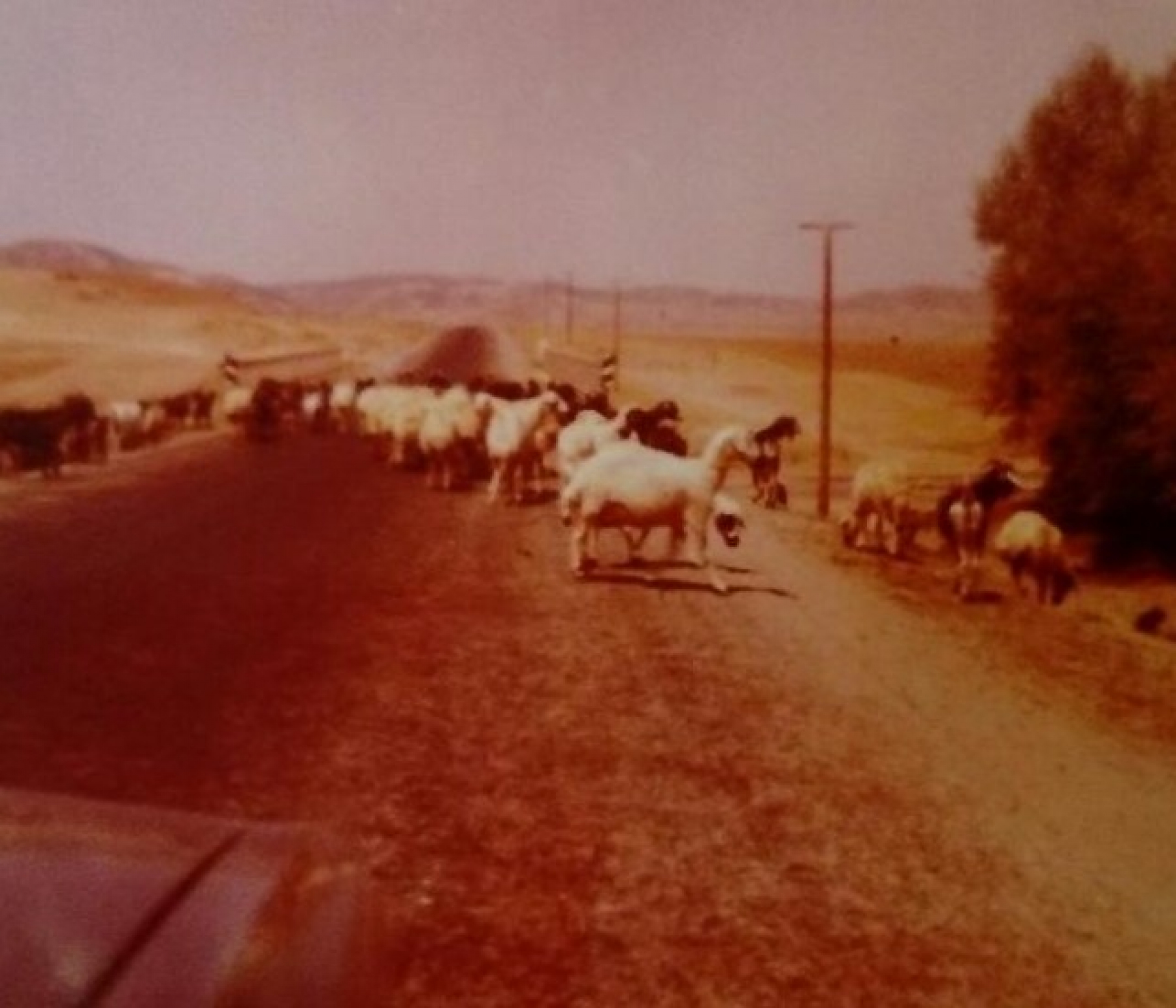 Illustration - Photo Paris-Kaboul R16