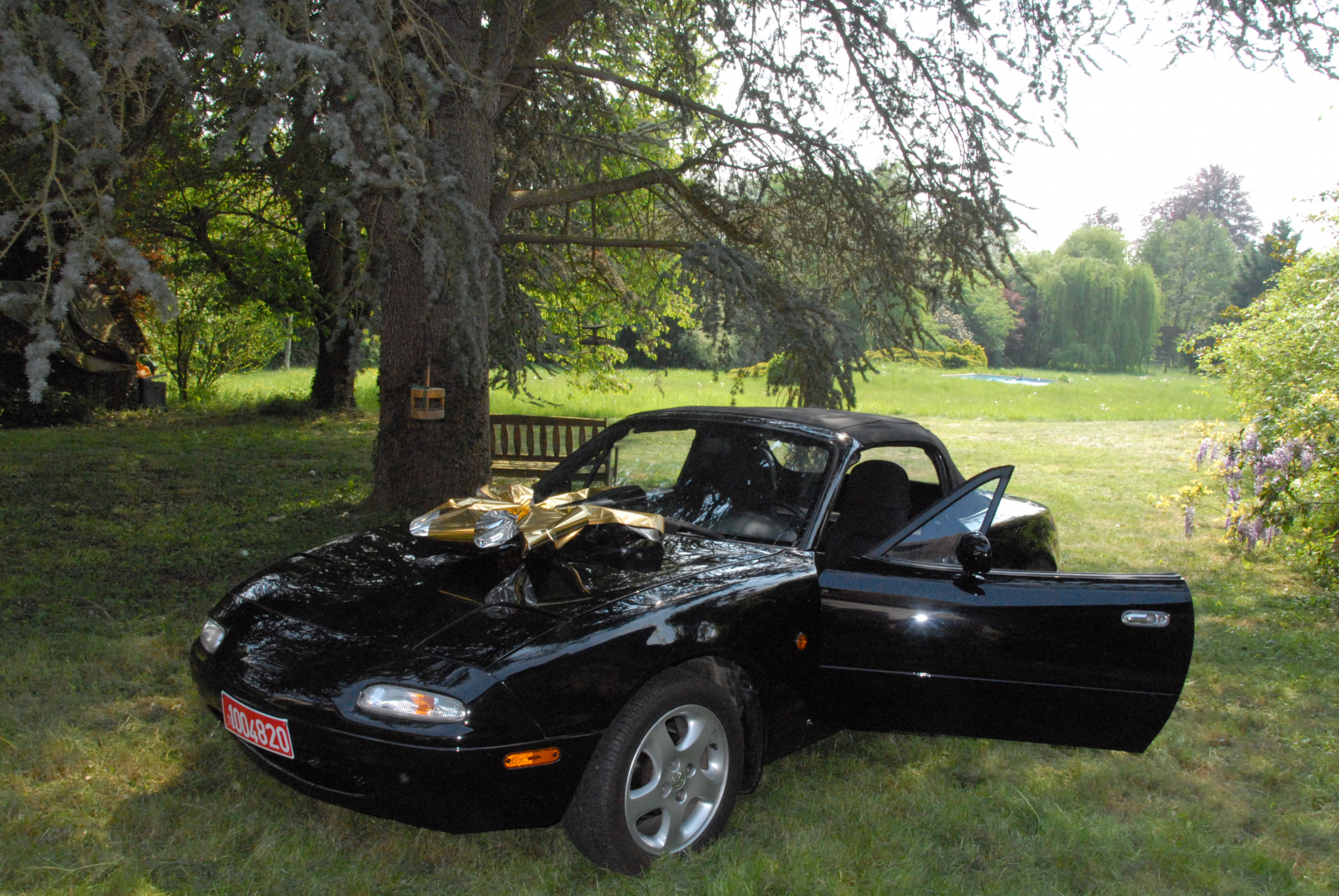 Illustration - Souvenirs d’Autos : Les bagnoles de frimeur ! 