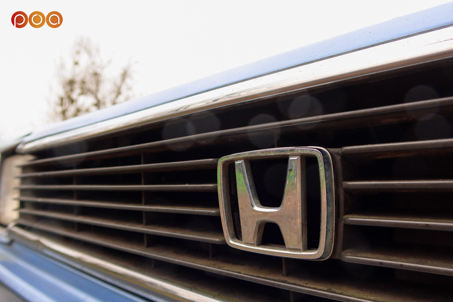 Illustration - Mercredi 18h Les Petits Observateurs Honda Civic et Opel Tigra