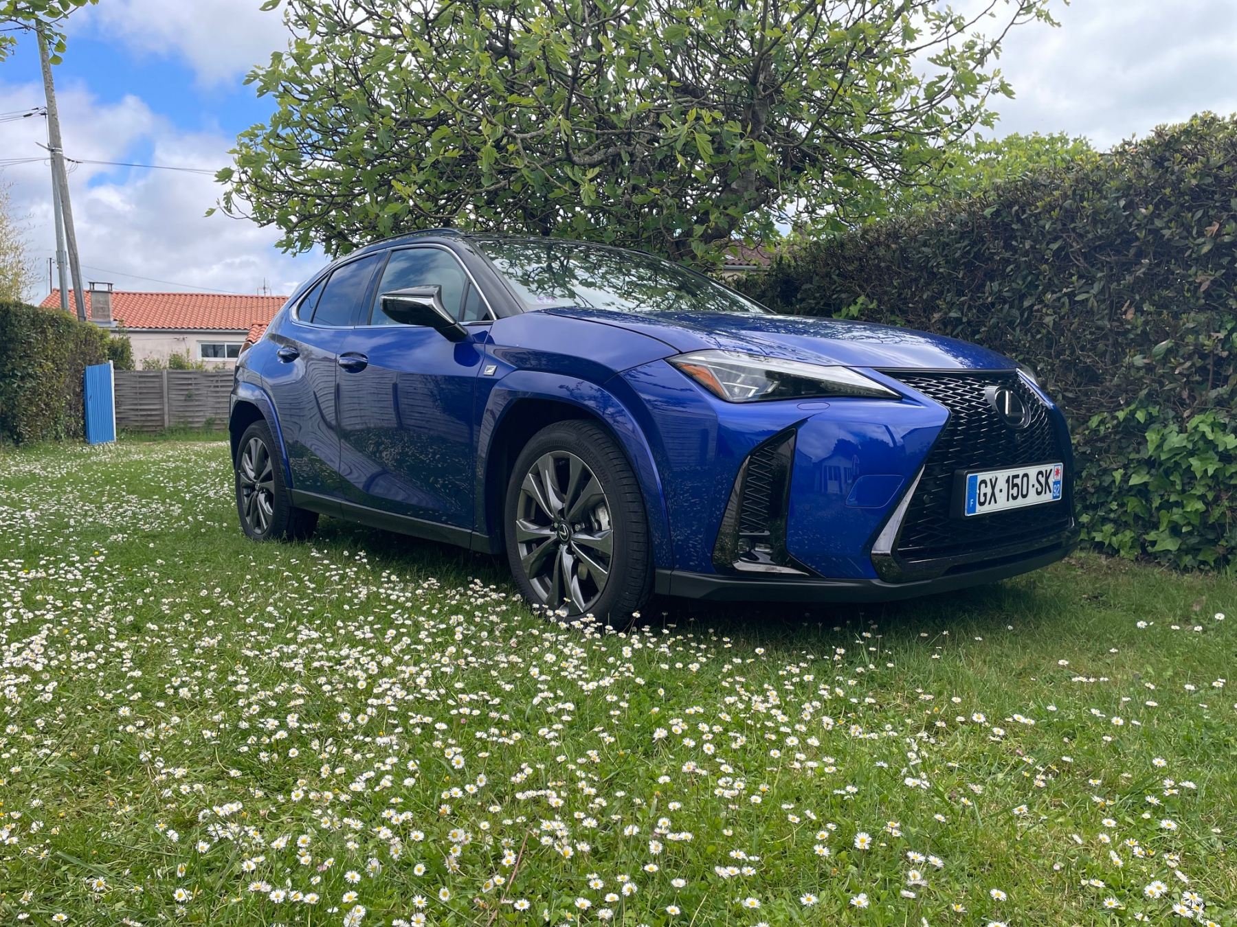 Illustration - Lexus UX300h 2025 F Sport Executive