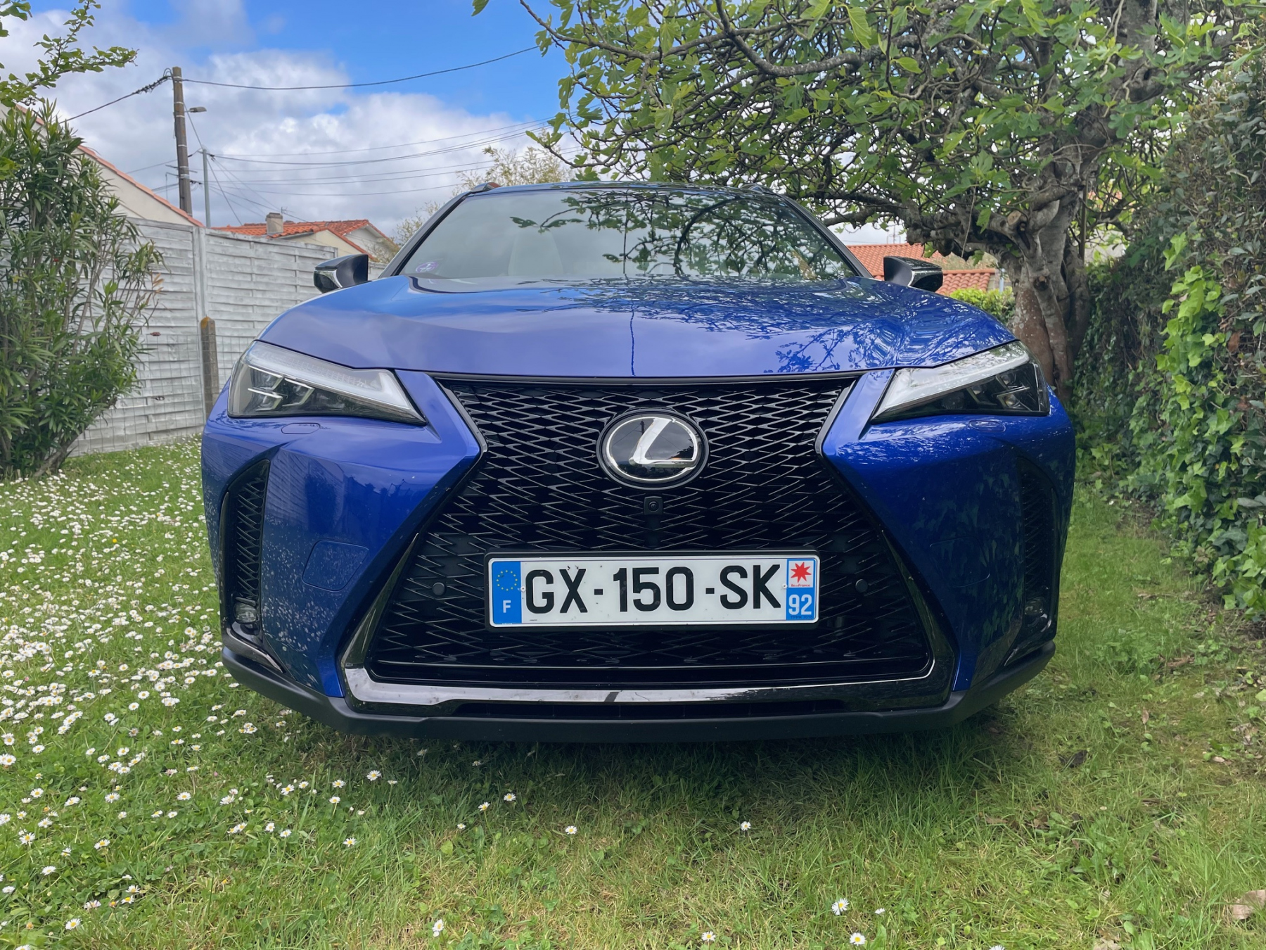 Illustration - Lexus UX300h 2025 F Sport Executive