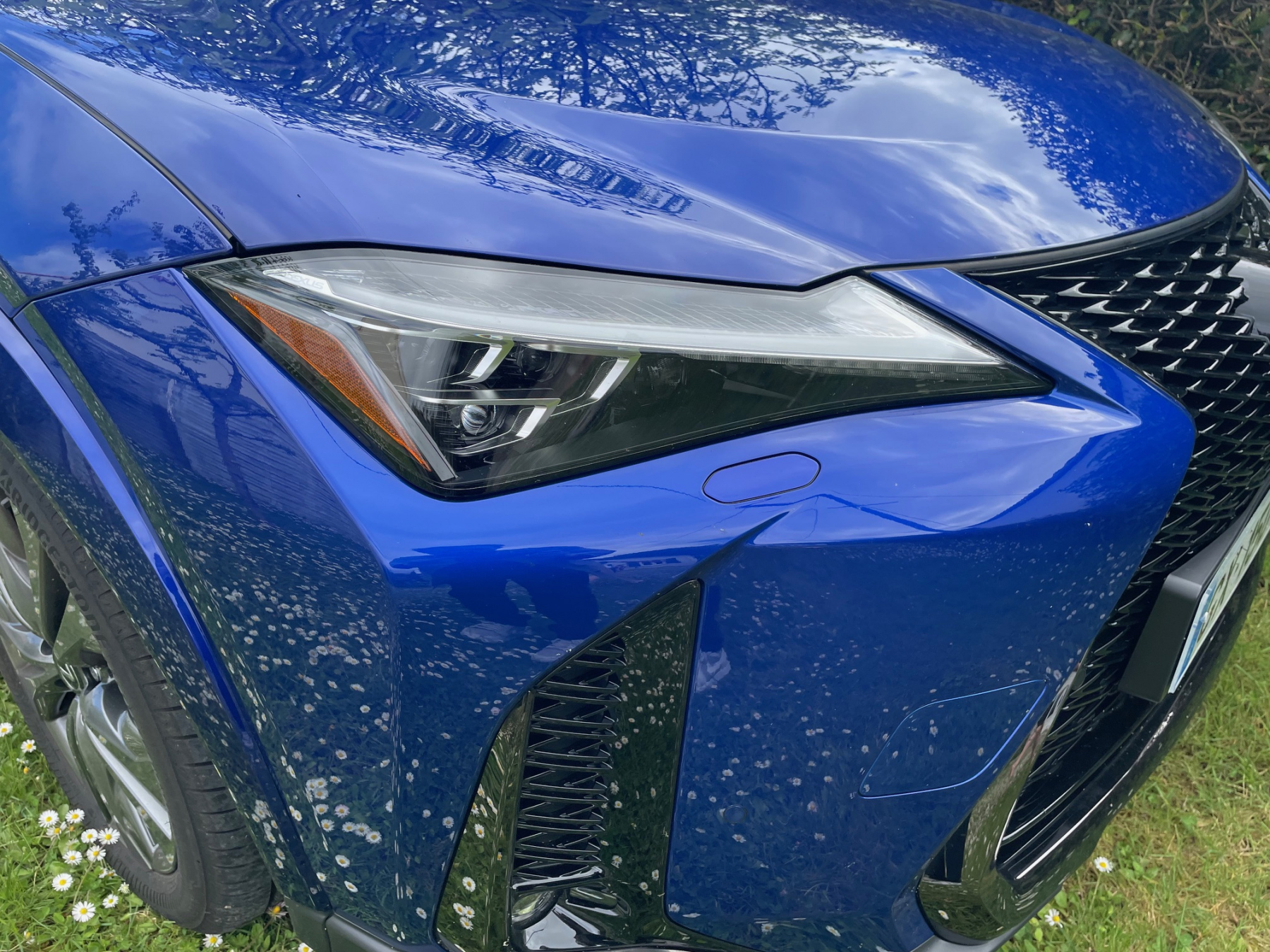 Illustration - Lexus UX300h 2025 F Sport Executive