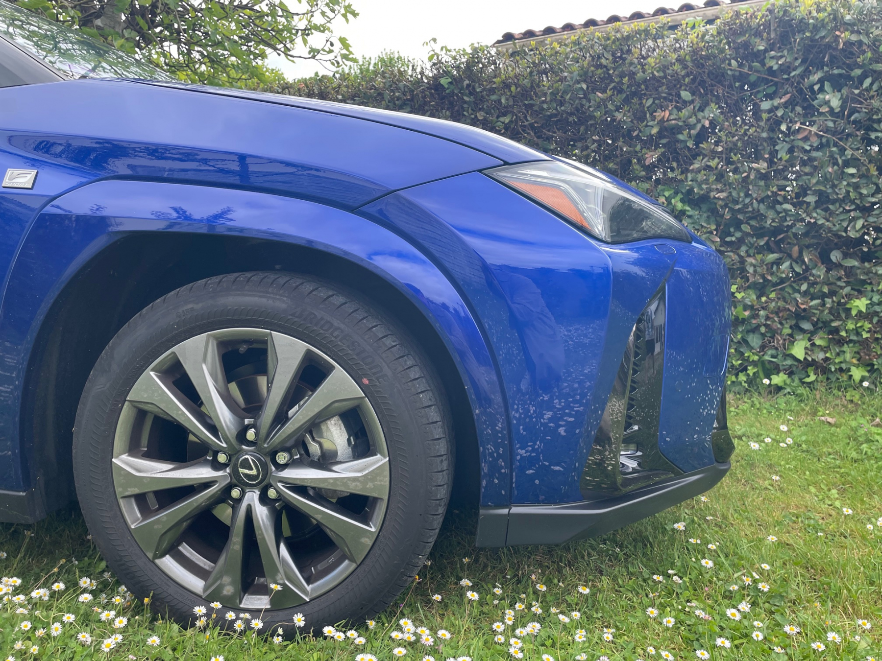 Illustration - Lexus UX300h 2025 F Sport Executive