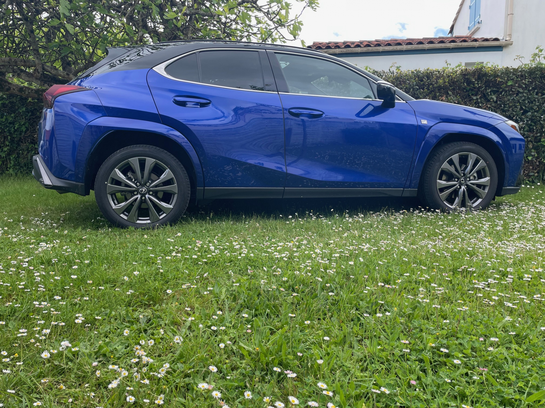 Illustration - Lexus UX300h 2025 F Sport Executive