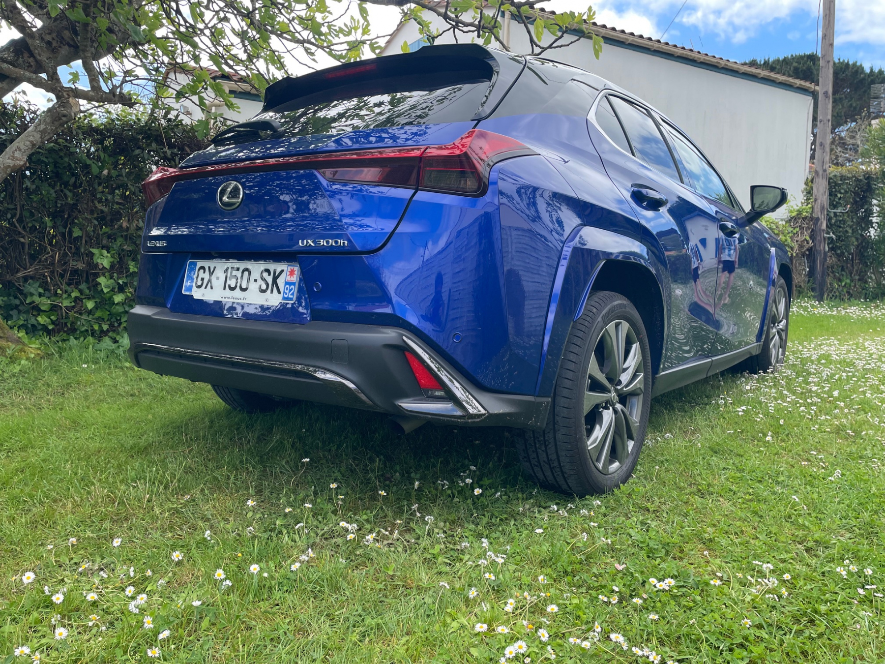 Illustration - Lexus UX300h 2025 F Sport Executive