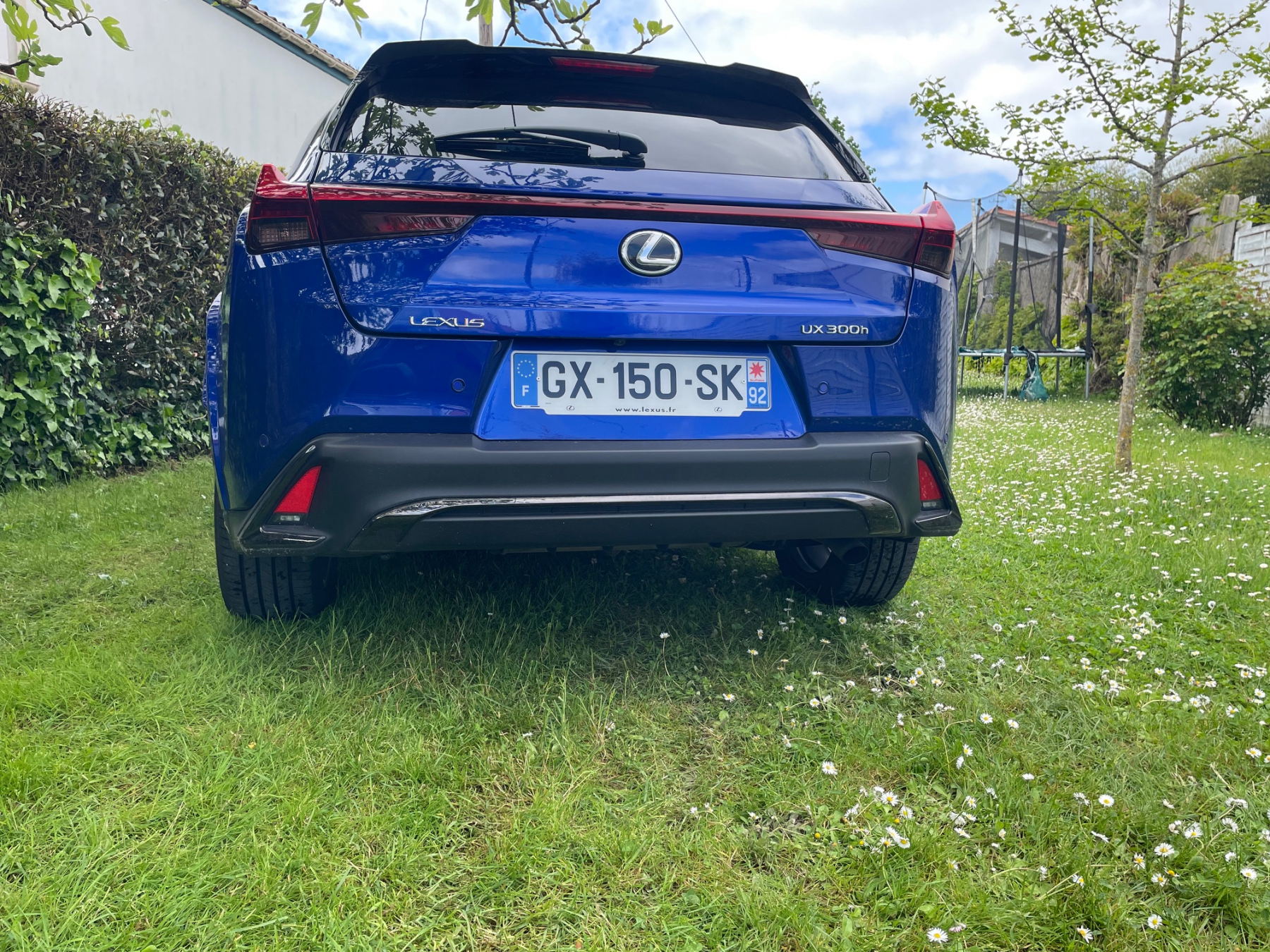 Illustration - Lexus UX300h 2025 F Sport Executive