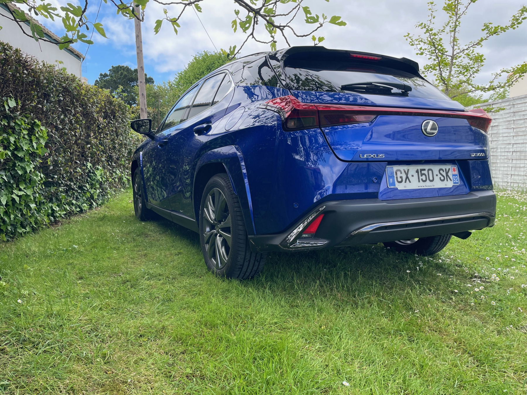 Illustration - Lexus UX300h 2025 F Sport Executive