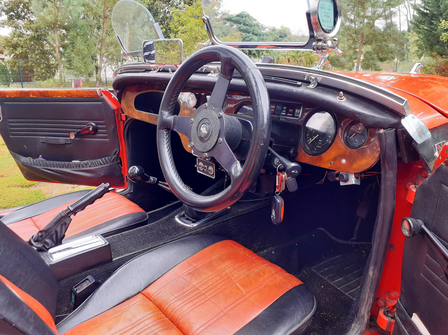 Illustration - Panther