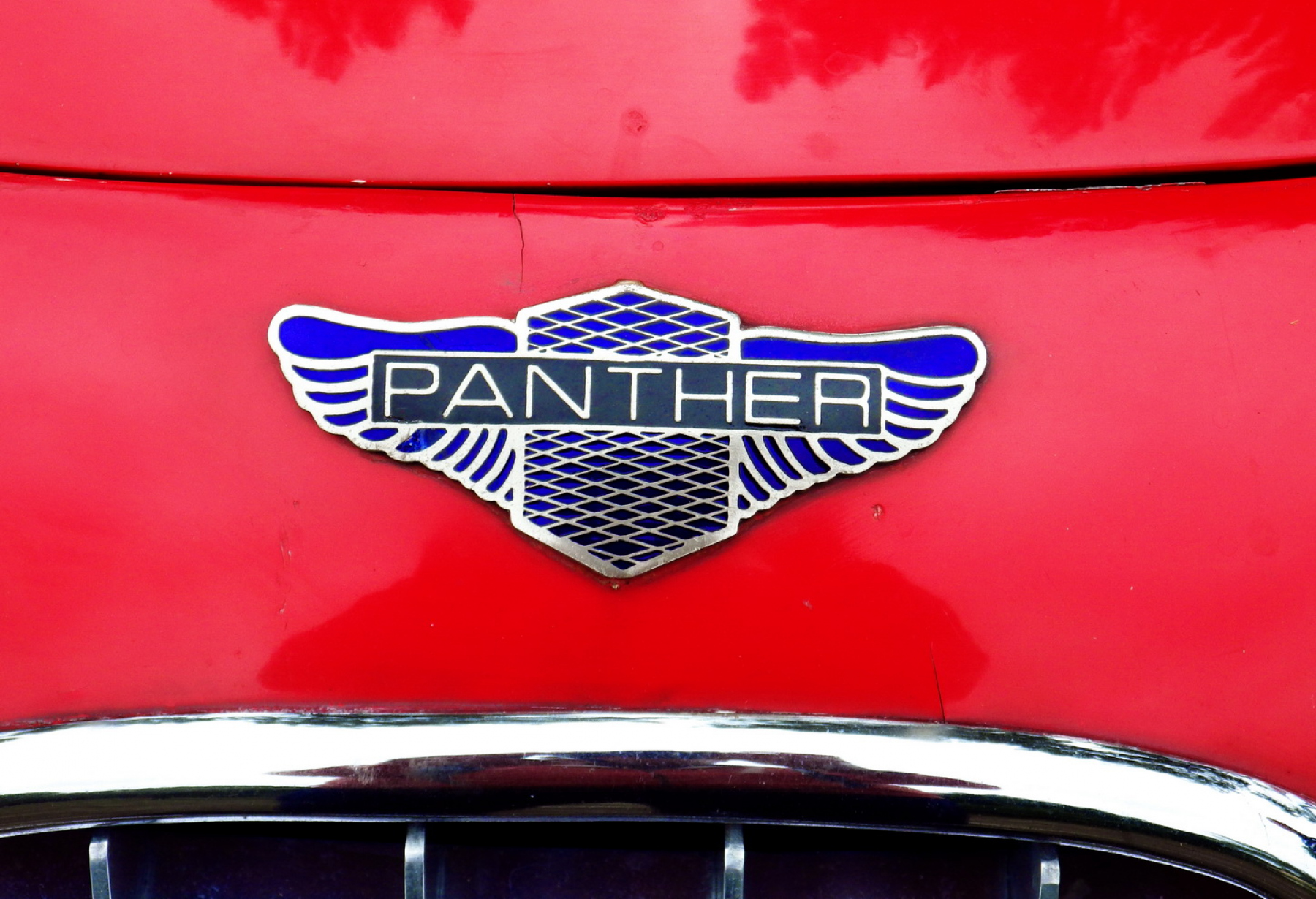 Illustration - Panther