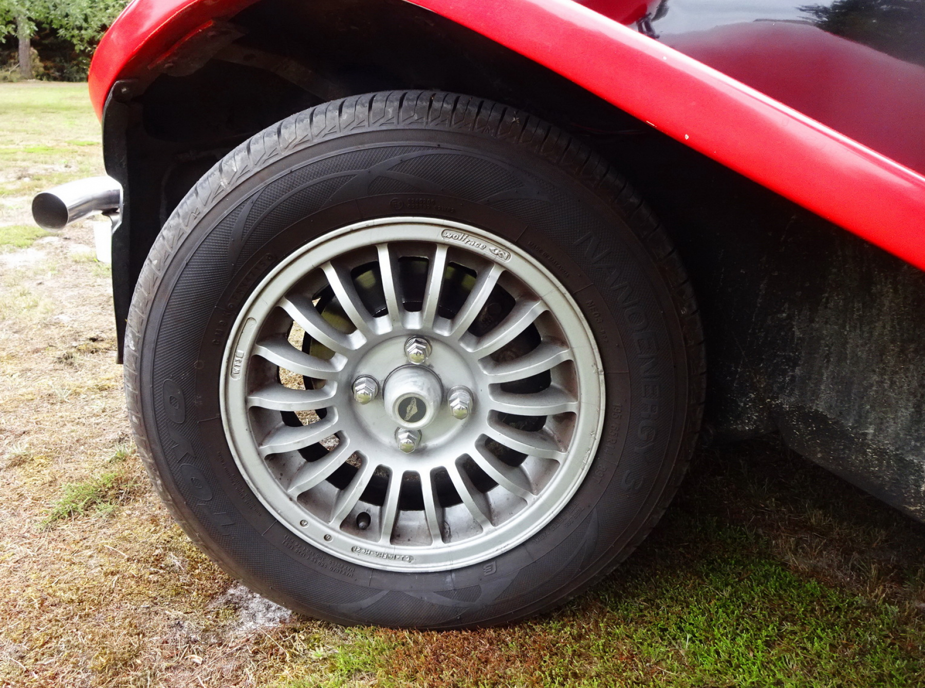 Illustration - Panther