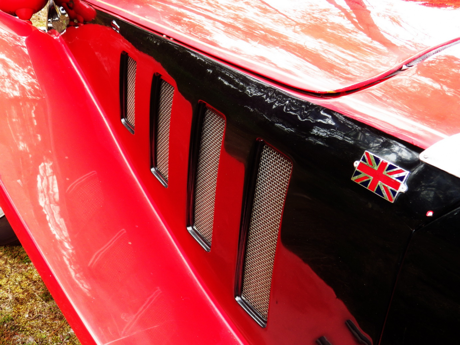 Illustration - Panther