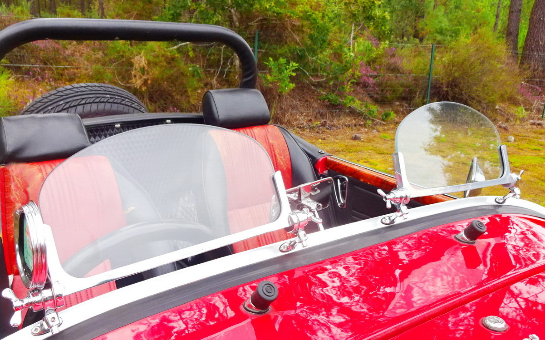 Illustration - Panther