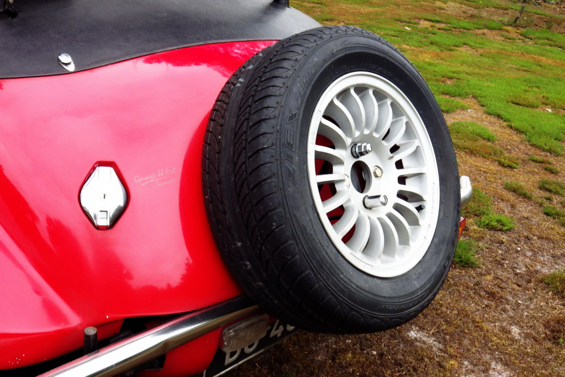 Illustration - Panther