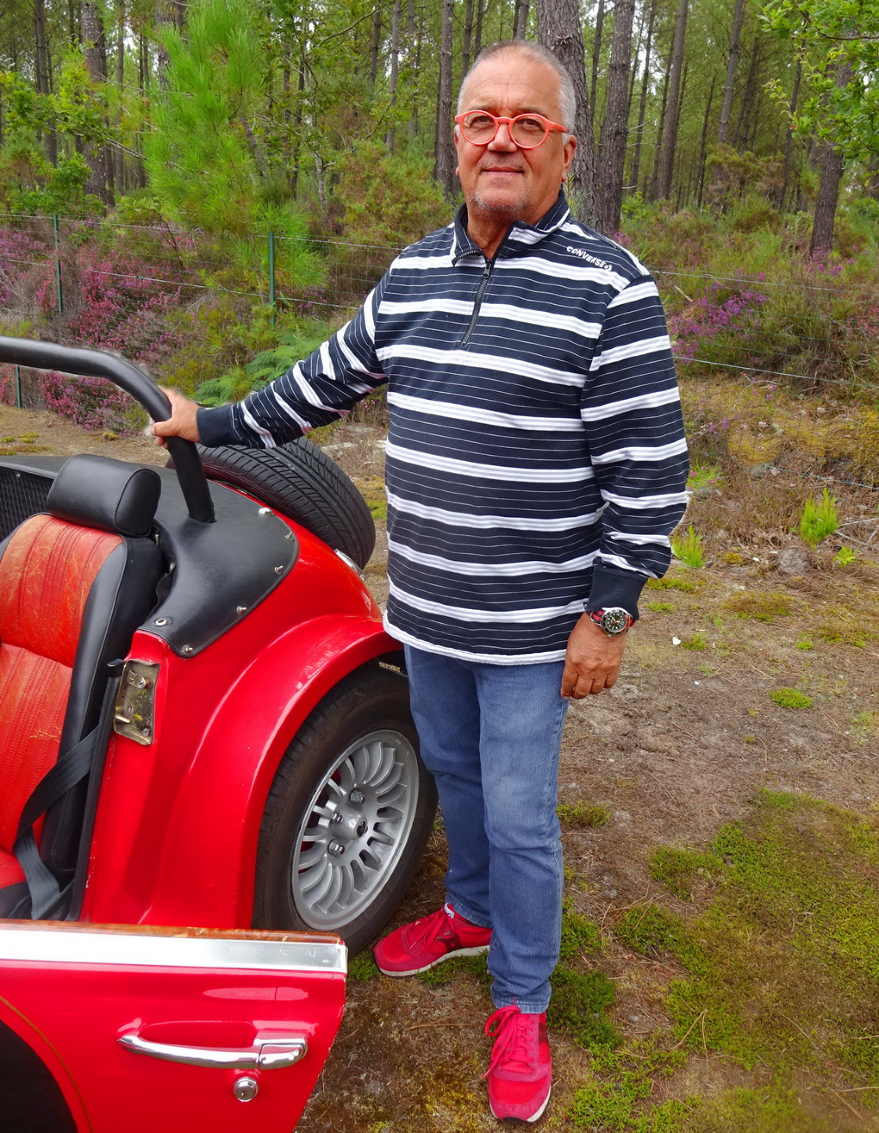 Illustration - Panther