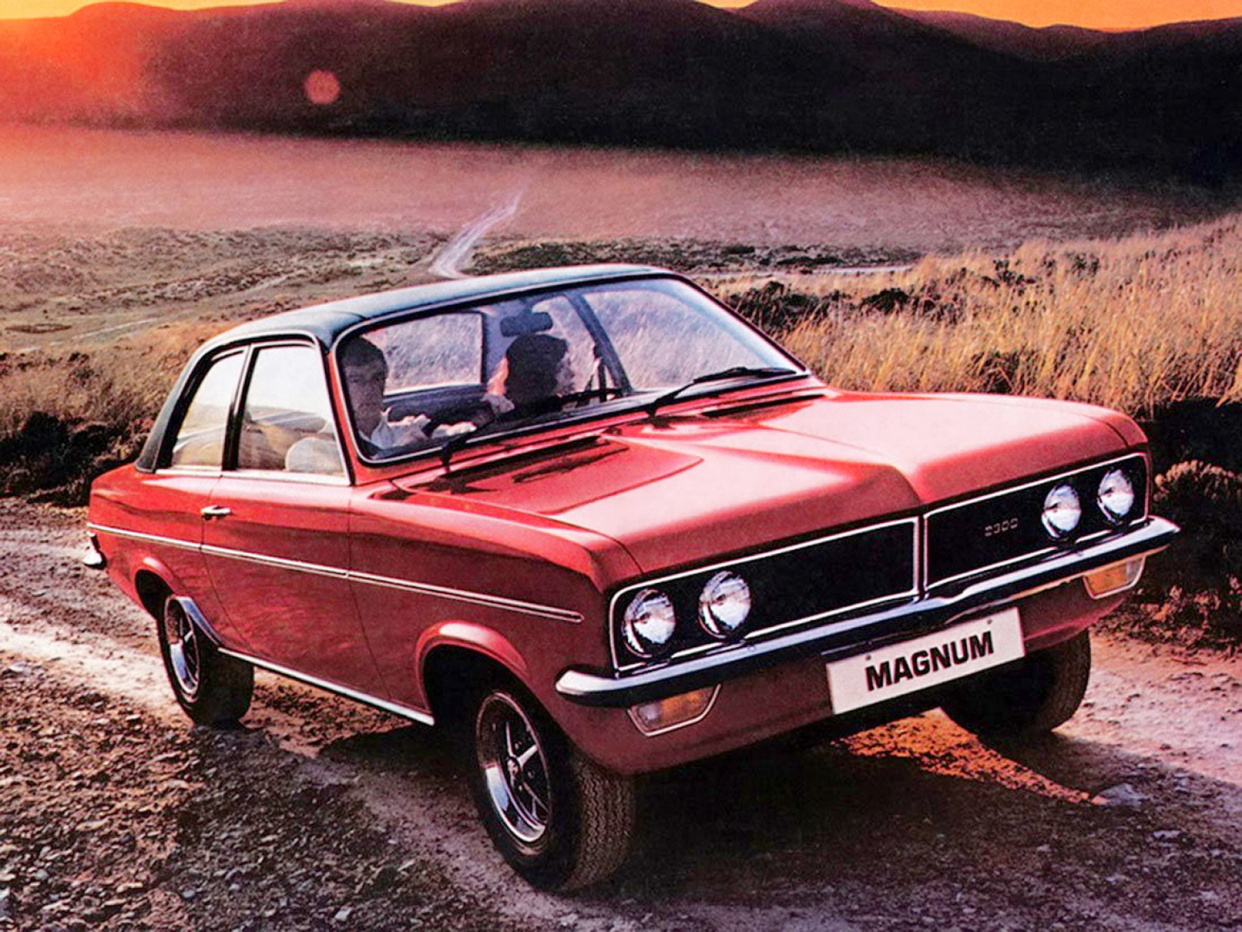 Illustration - Panther