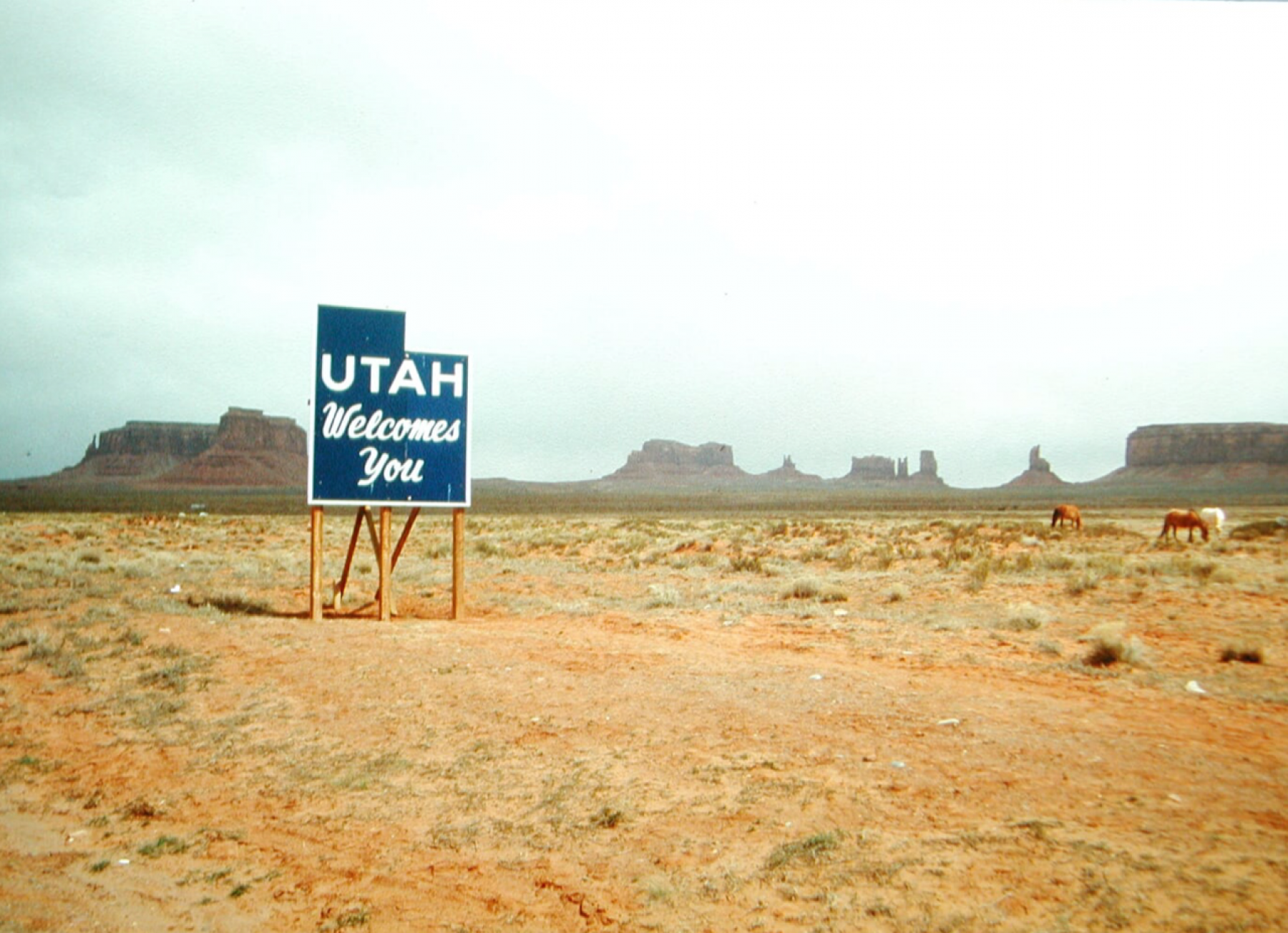 Illustration - Souvenirs d'Autos (325) le rêve américain pour 45 $