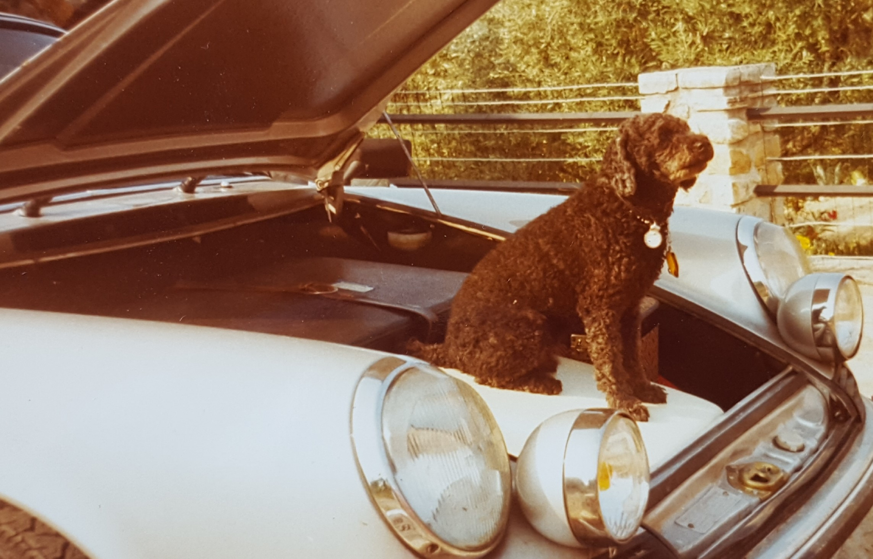 Illustration - Souvenirs d'Autos (333) 3 années inoubliables en Porsche 911 2.4 S (épisode 2)