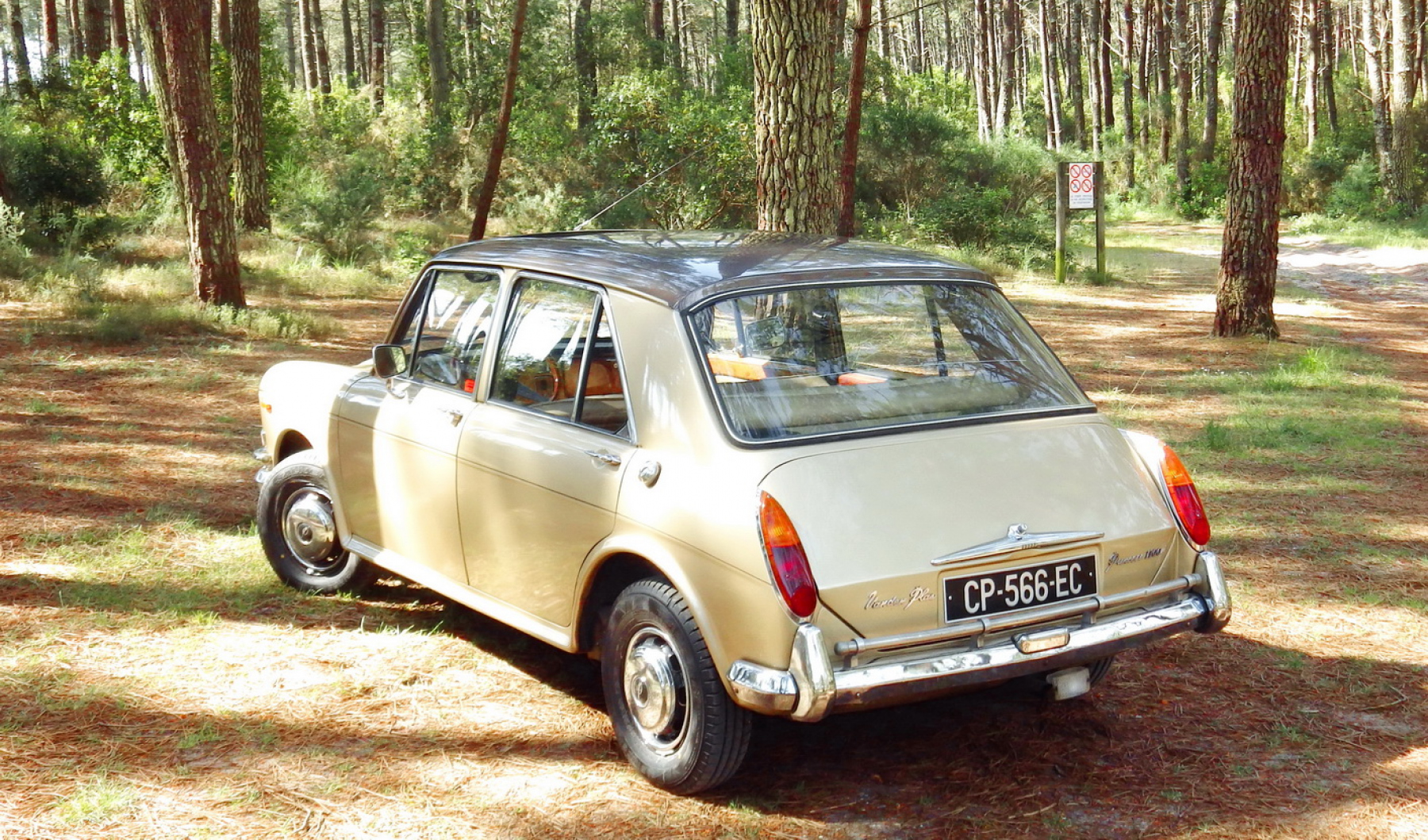 Illustration - Les Essais de Patrice Austin Princess