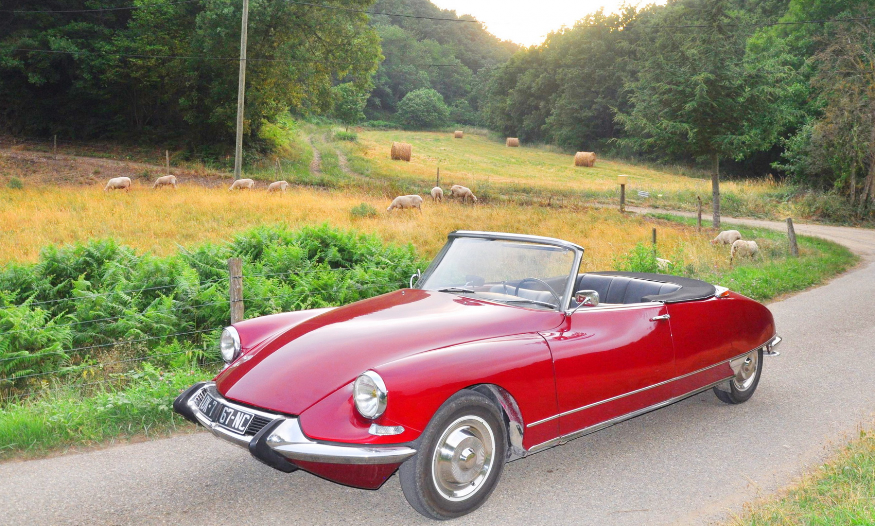 Illustration - Les Essais de Patrice Citroën DS19 Cabriolet