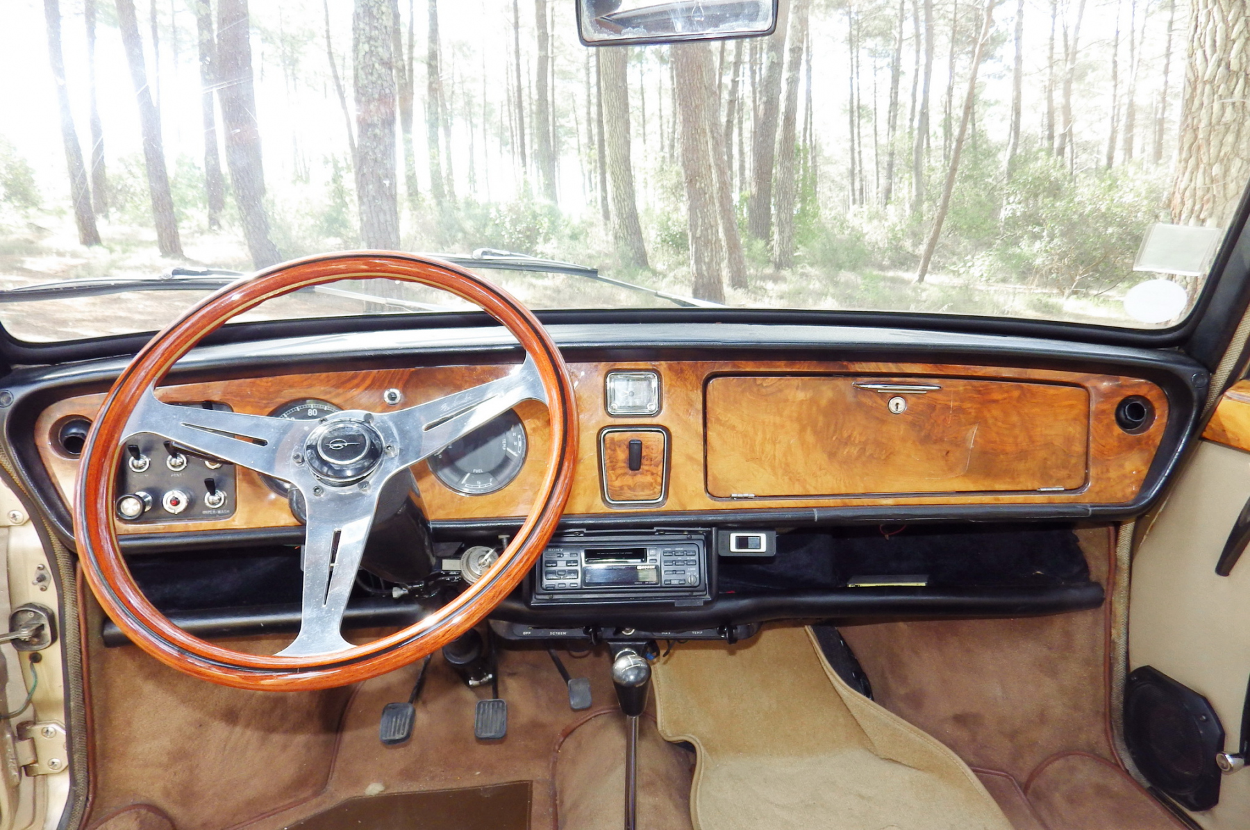 Illustration - Les Essais de Patrice Austin Princess