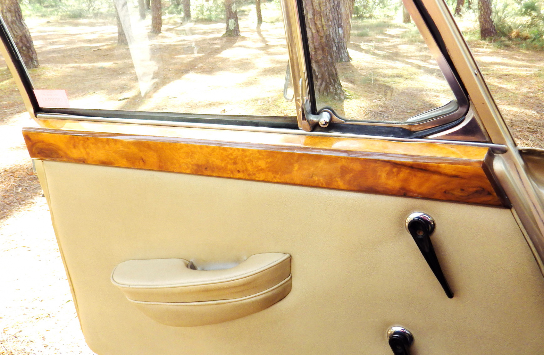 Illustration - Les Essais de Patrice Austin Princess