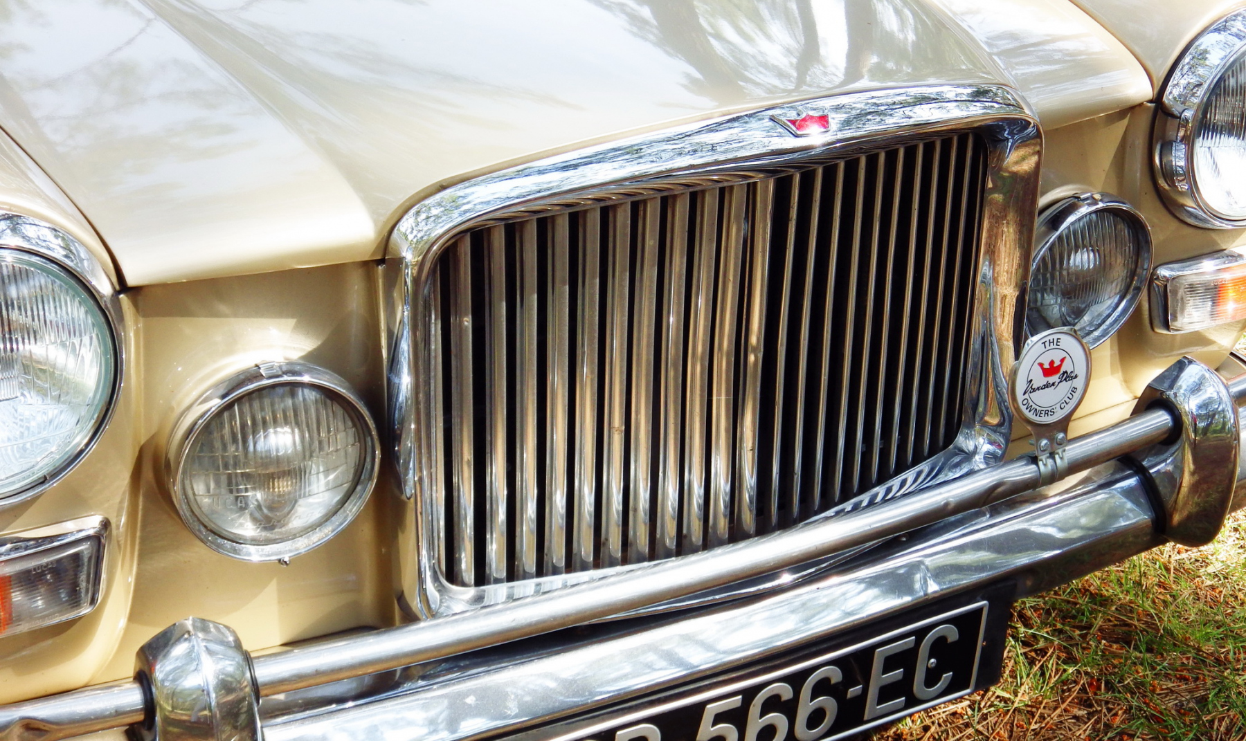 Illustration - Les Essais de Patrice Austin Princess