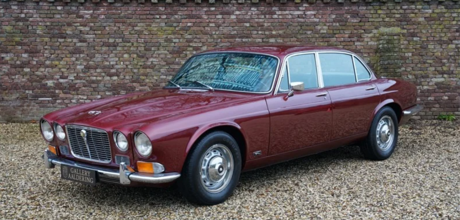 Illustration - Jaguar