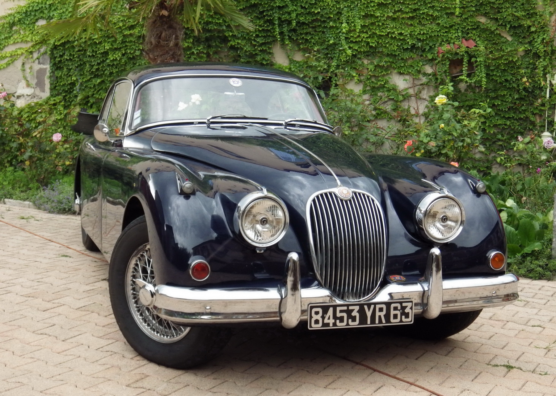 Illustration - Les Essais de Patrice Jaguar XK-140