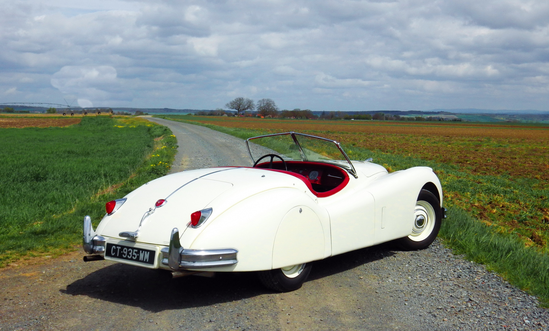 Illustration - Les Essais de Patrice Jaguar XK-140