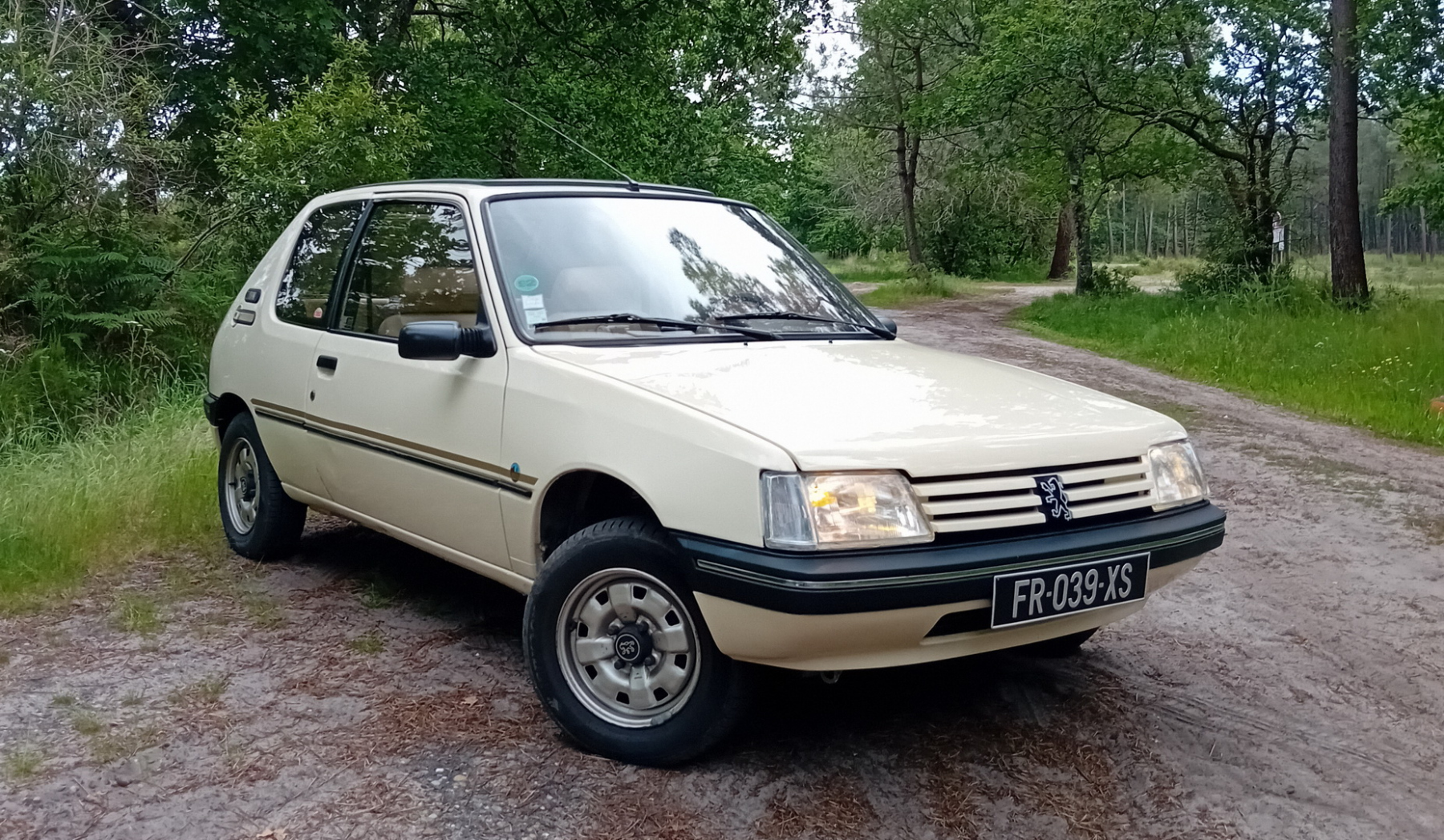 Illustration - Peugeot 205 Indiana