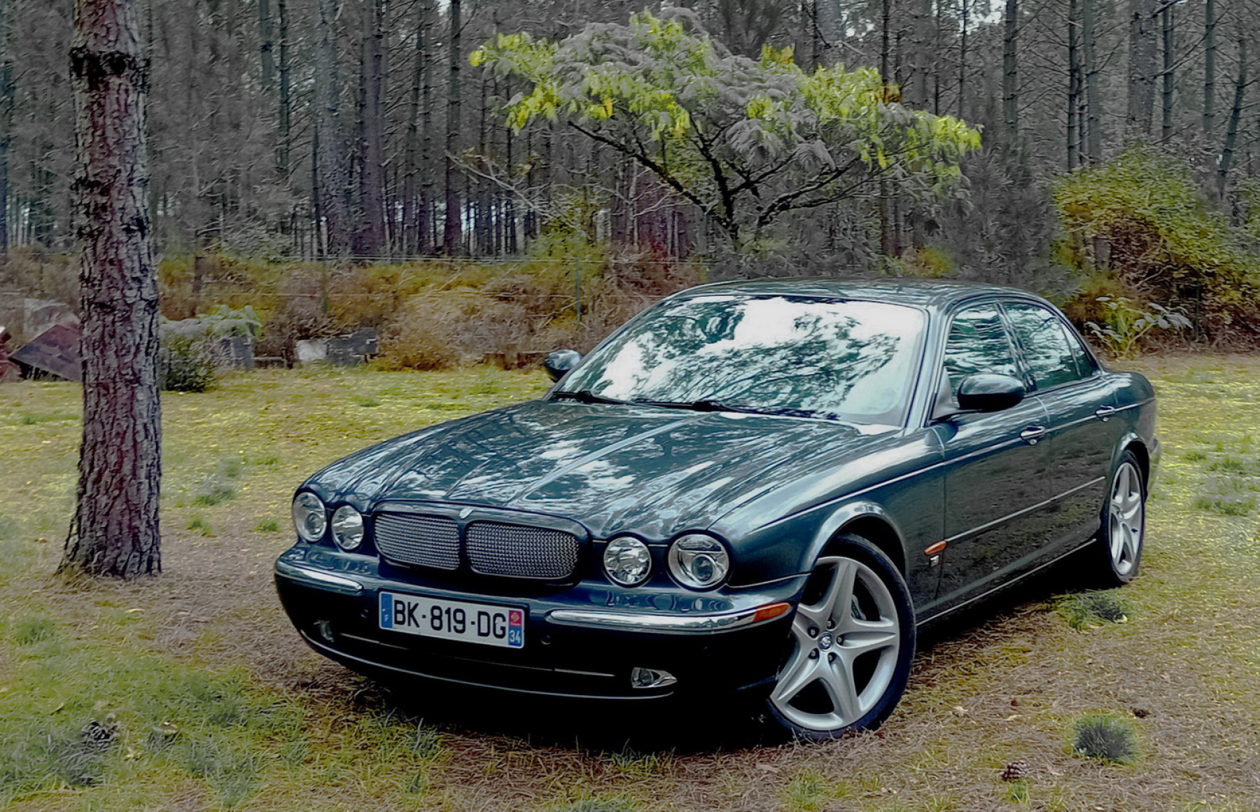 Illustration - Jaguar XJR