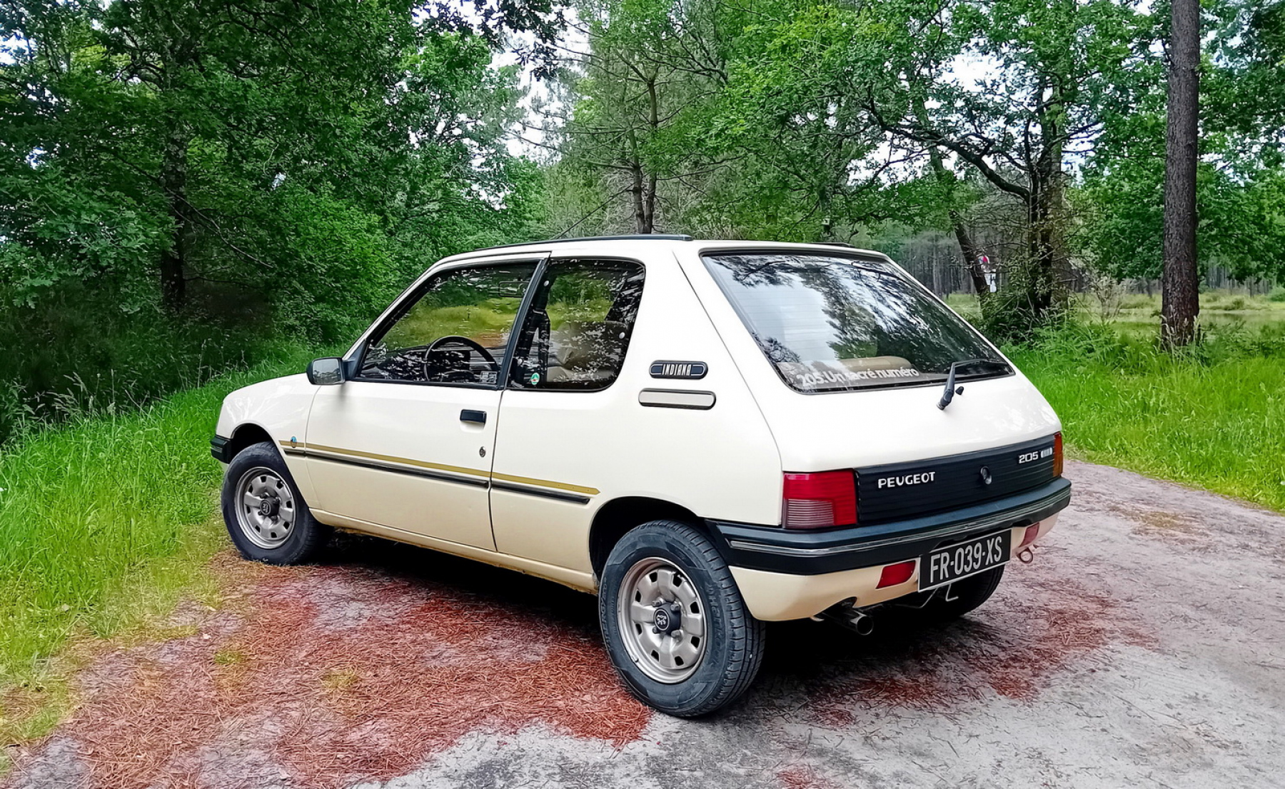 Illustration - Peugeot 205 Indiana