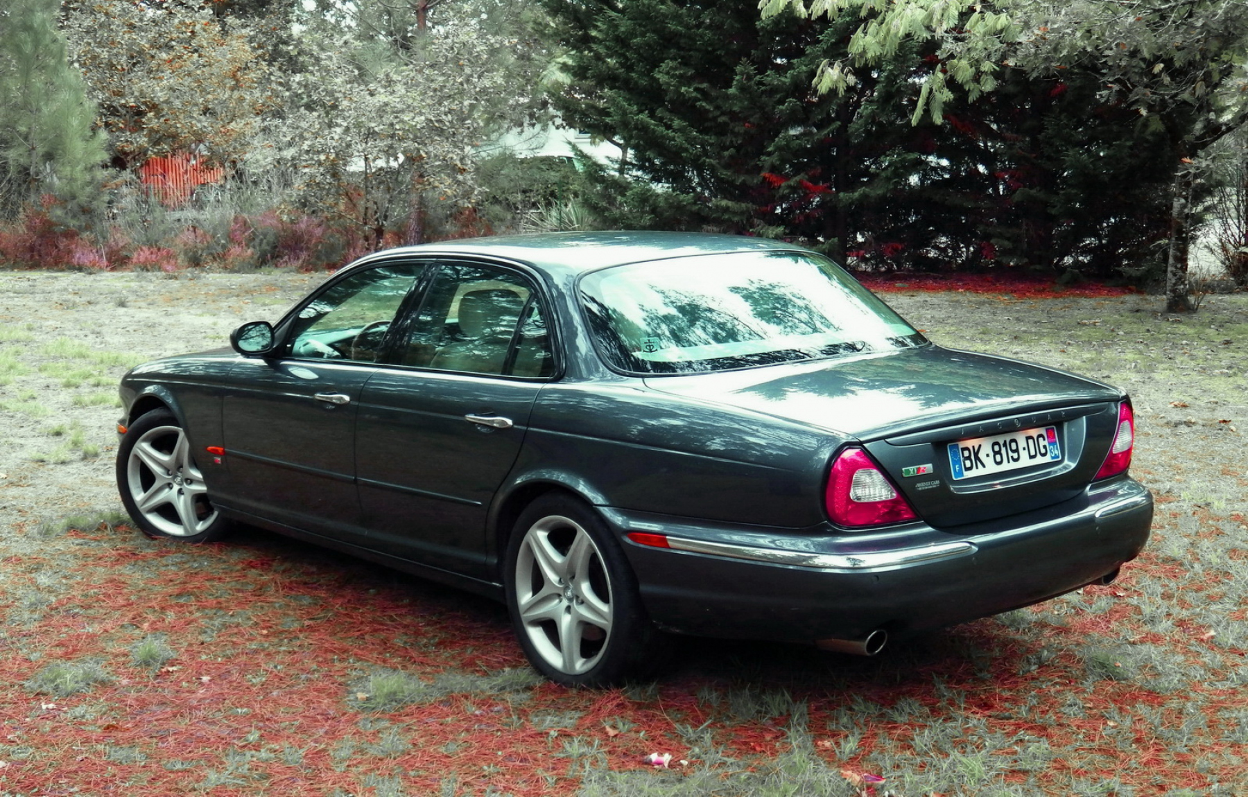 Illustration - Jaguar XJR