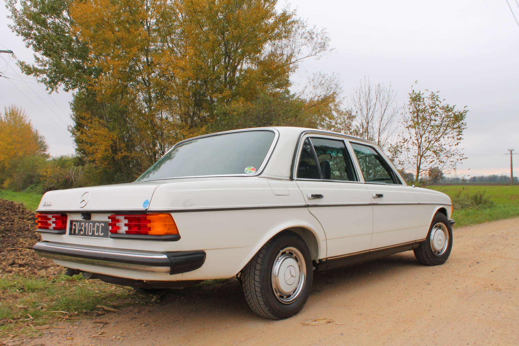 Illustration - Mercedes W123