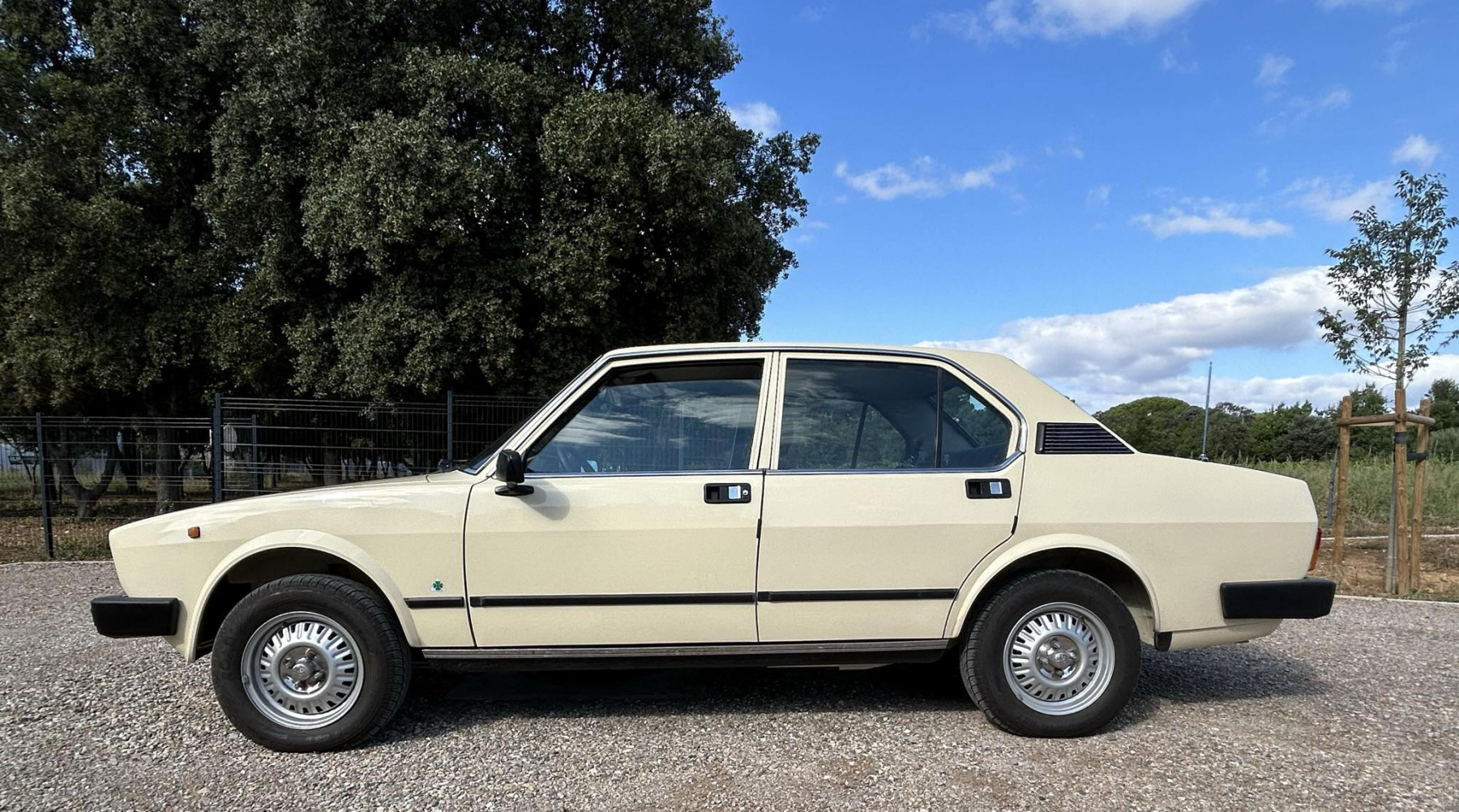 Illustration - Alfa Romeo Alfetta