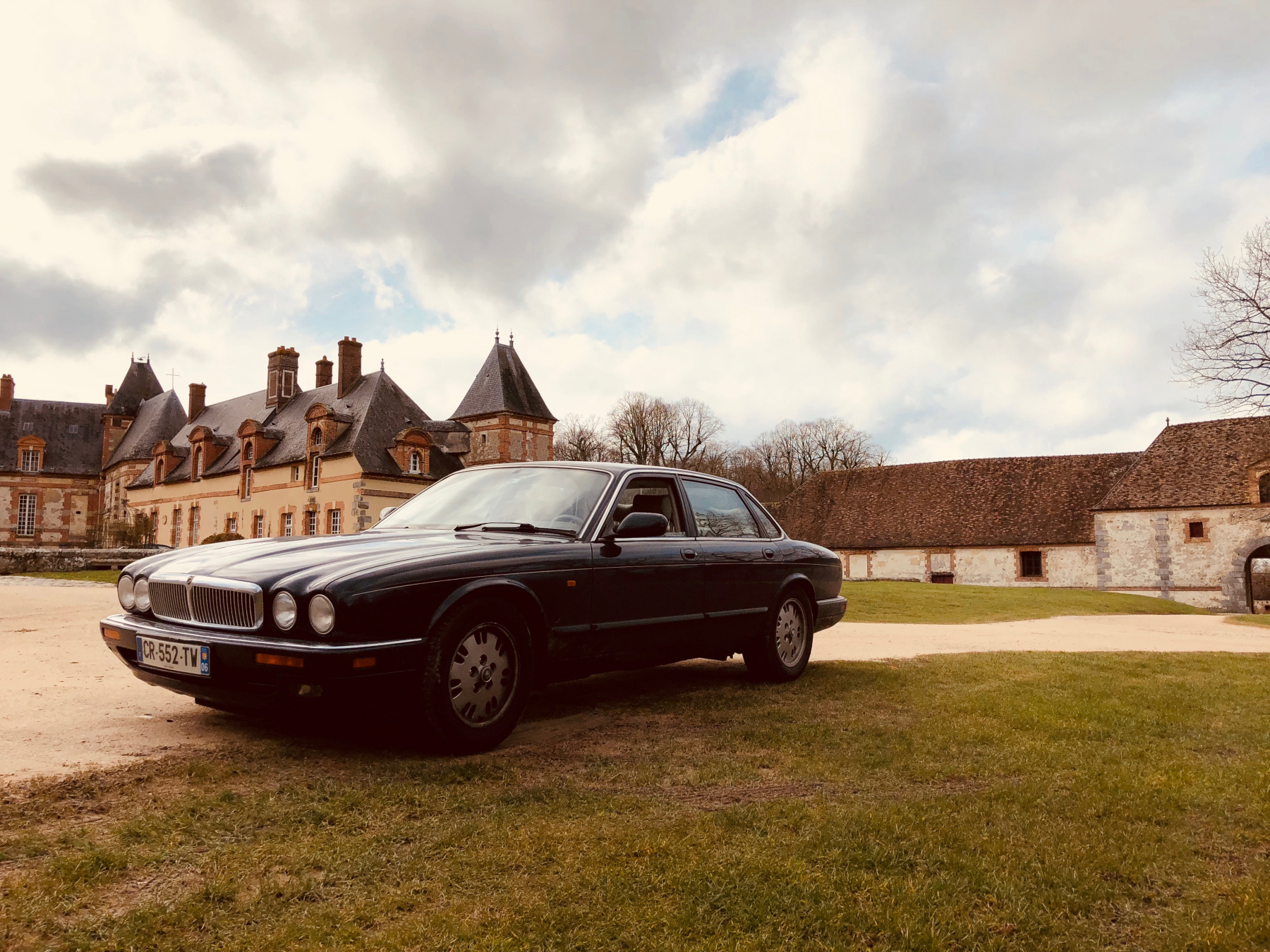 Illustration - Jaguar