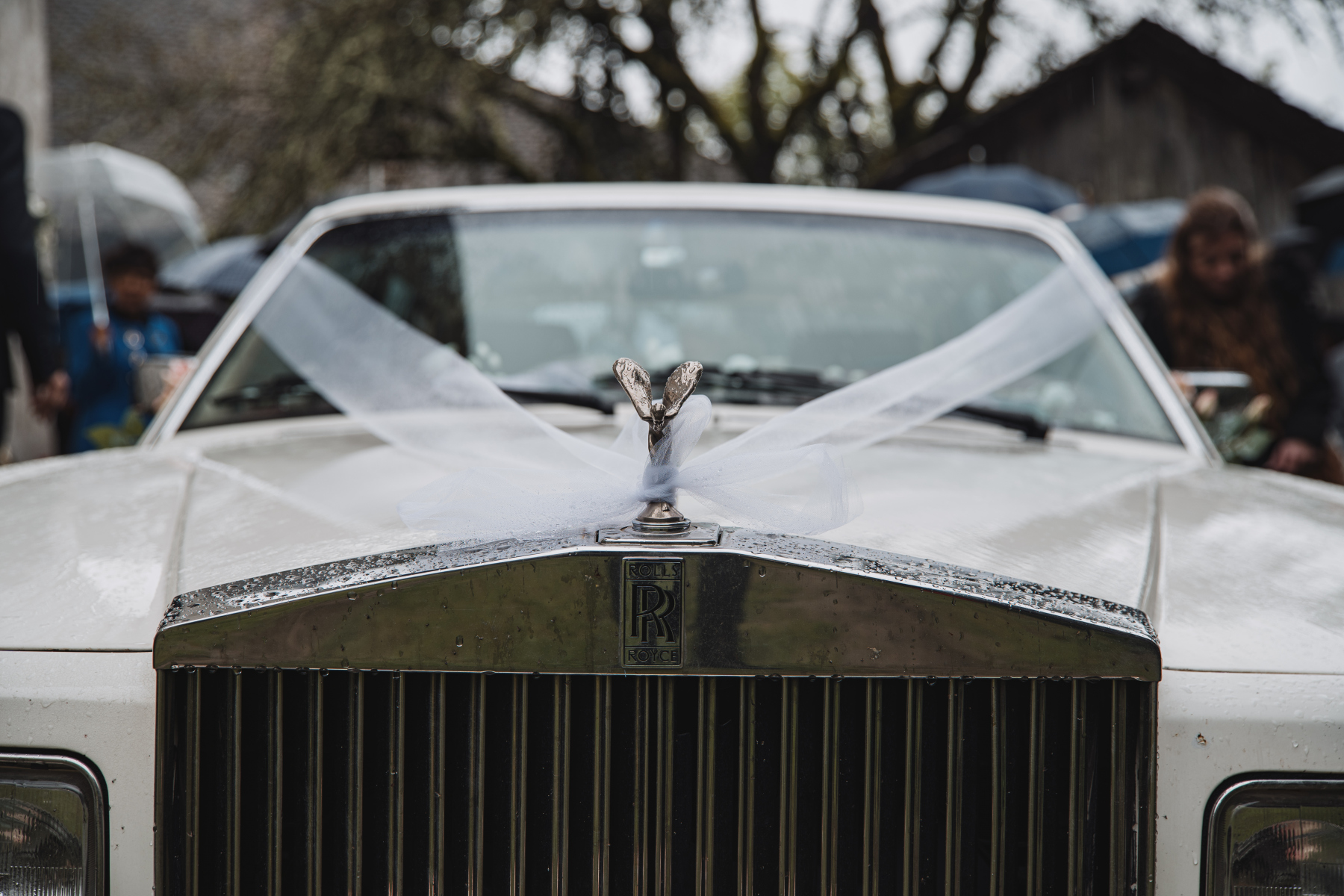 Illustration - Rolls-Royce Silver Spirit