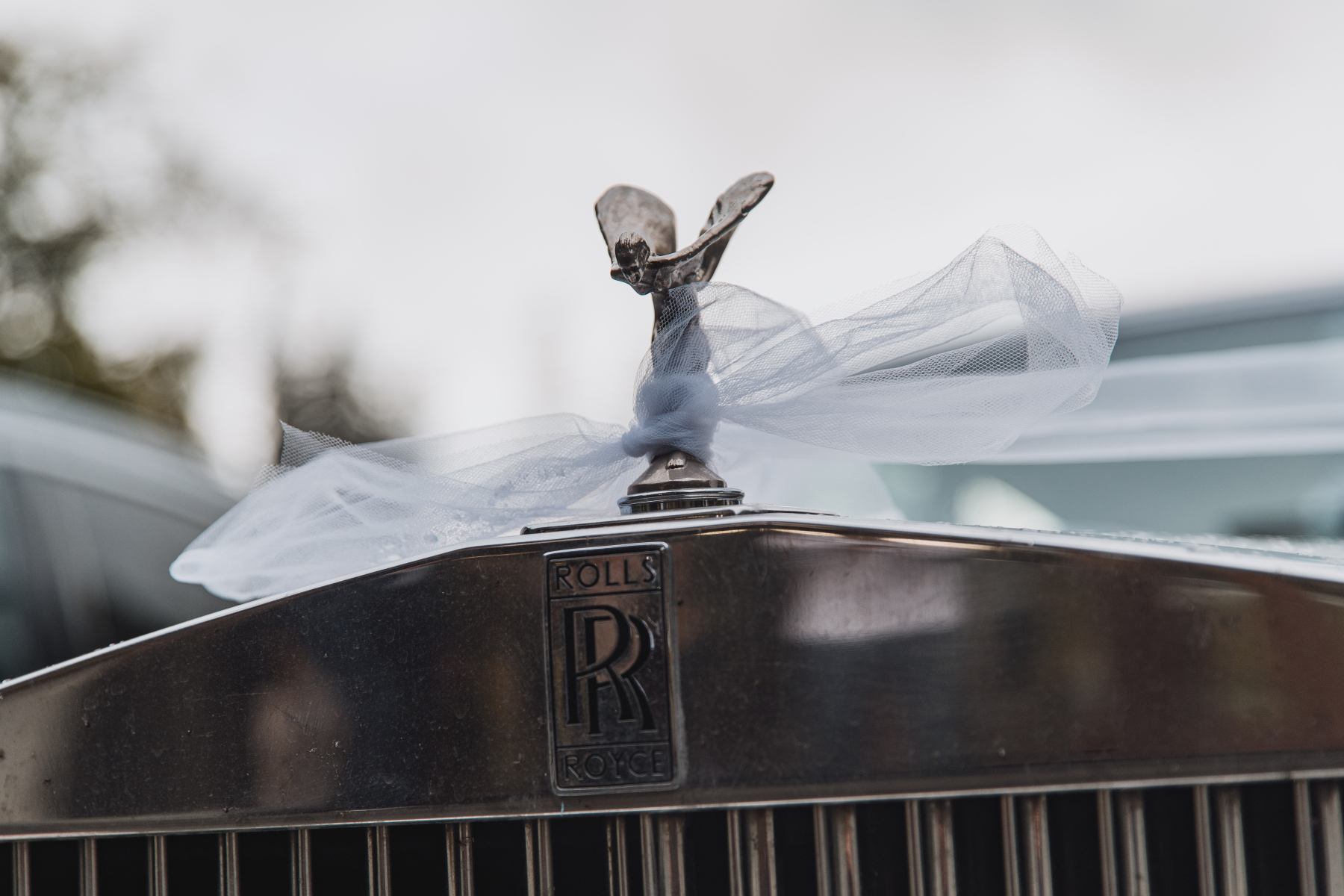 Illustration - Rolls-Royce Silver Spirit