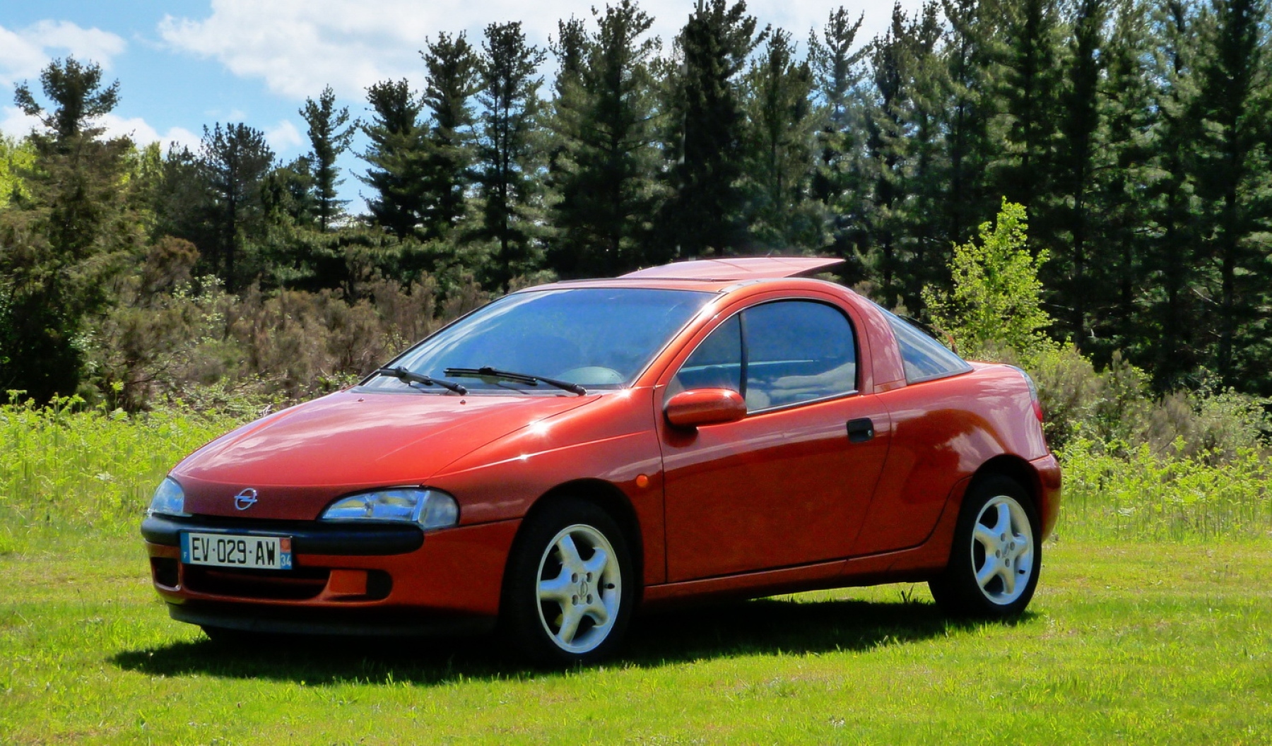 Illustration - Opel Tigra